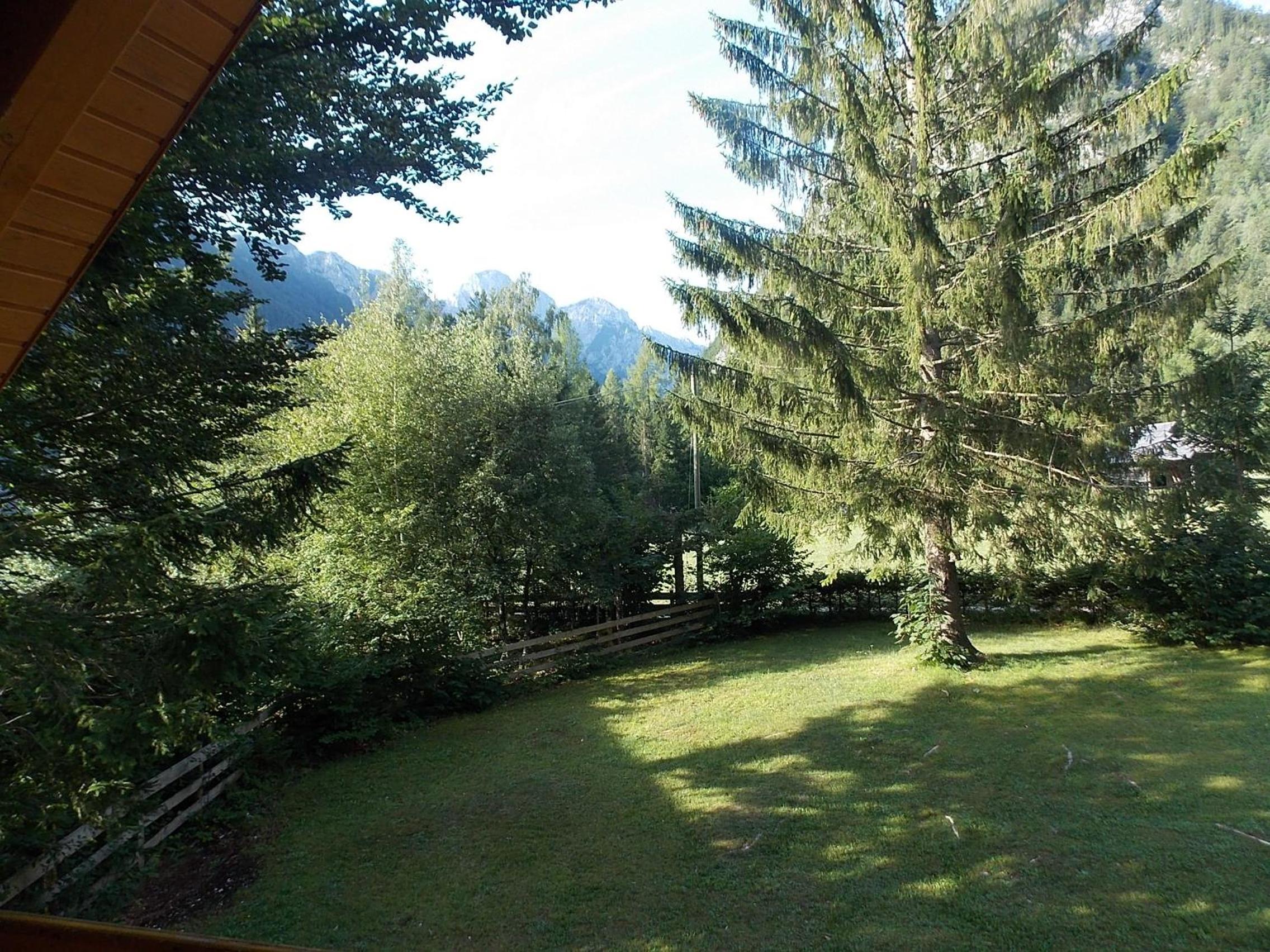 Photo 23