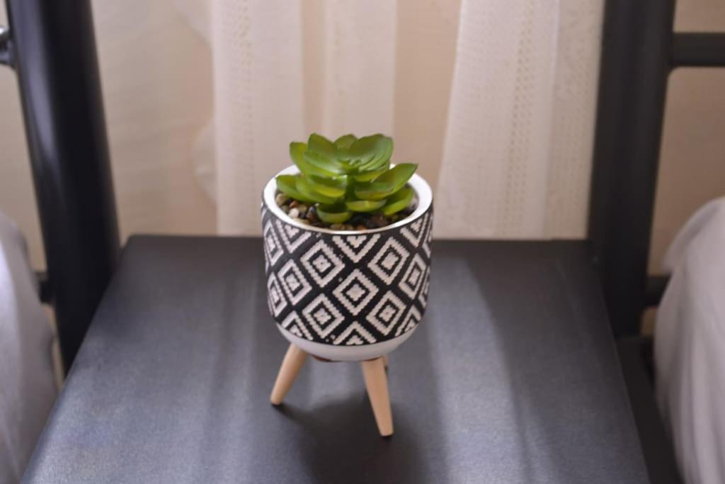 Yalos Studio photo 4