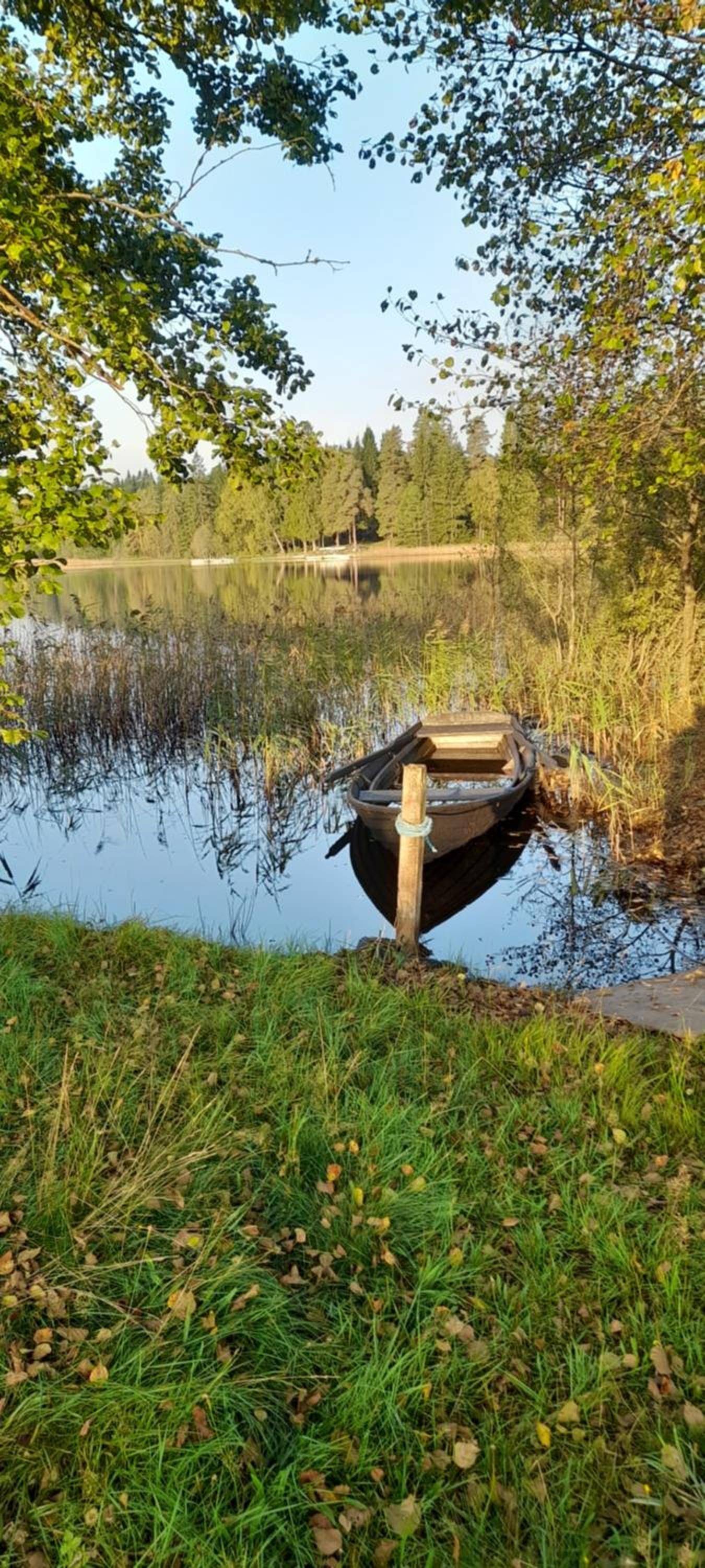 Photo 26