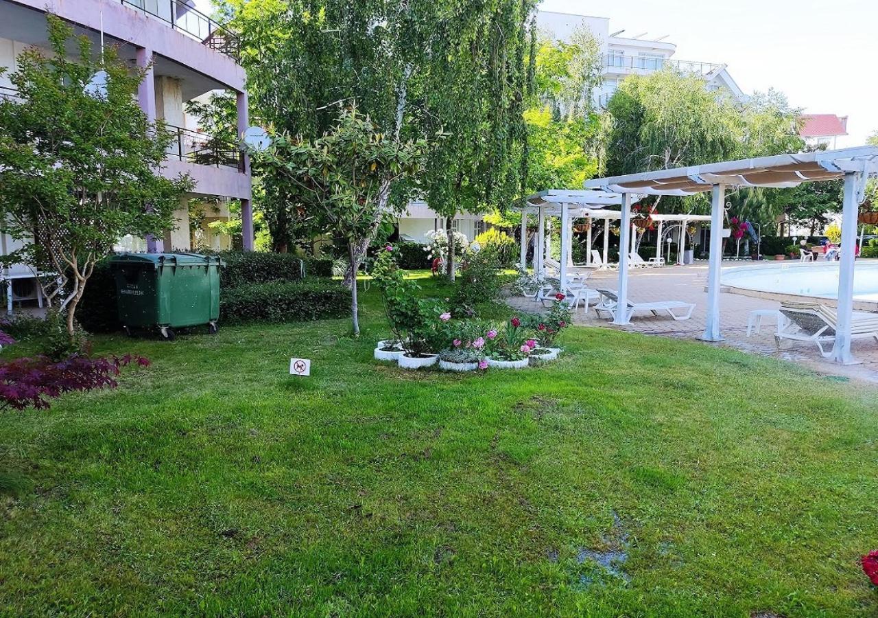 Photo 38
