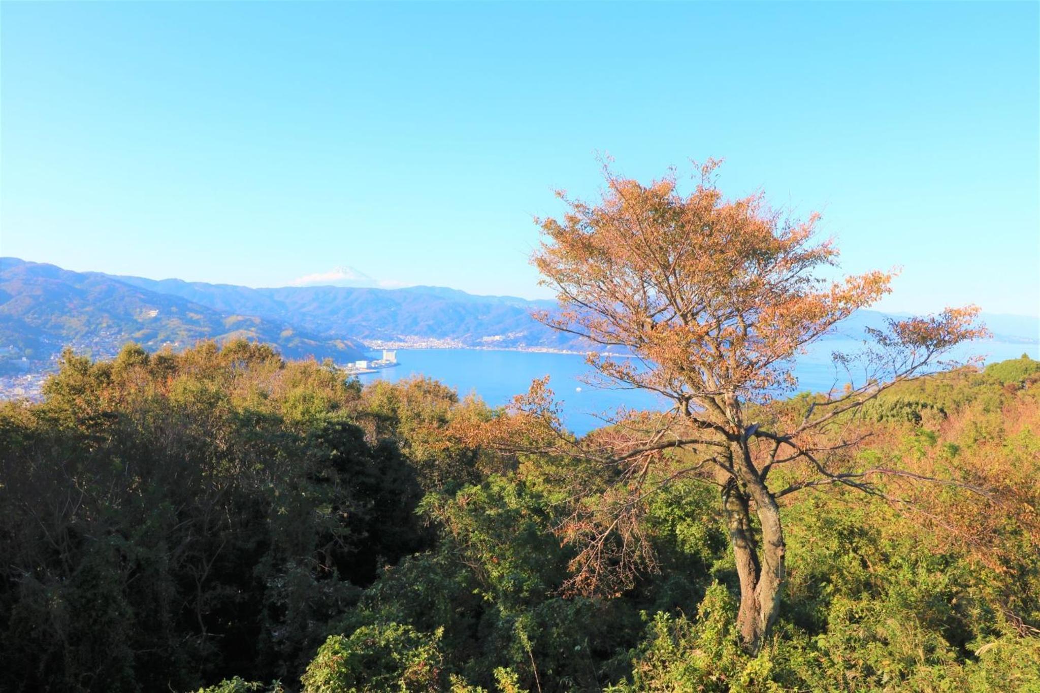 Oceanic House TAMATEBAKO - Vacation STAY 98444 view 5
