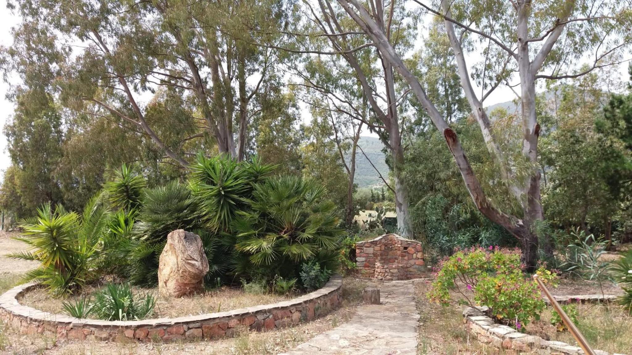 Photo 41