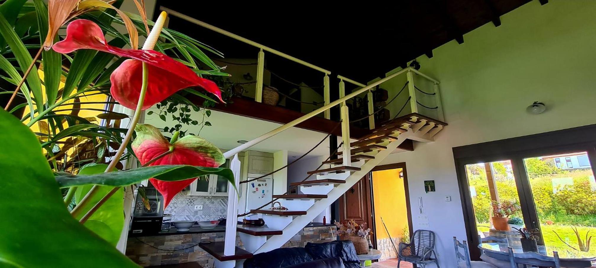 Villa El Tacín De Villaviciosa