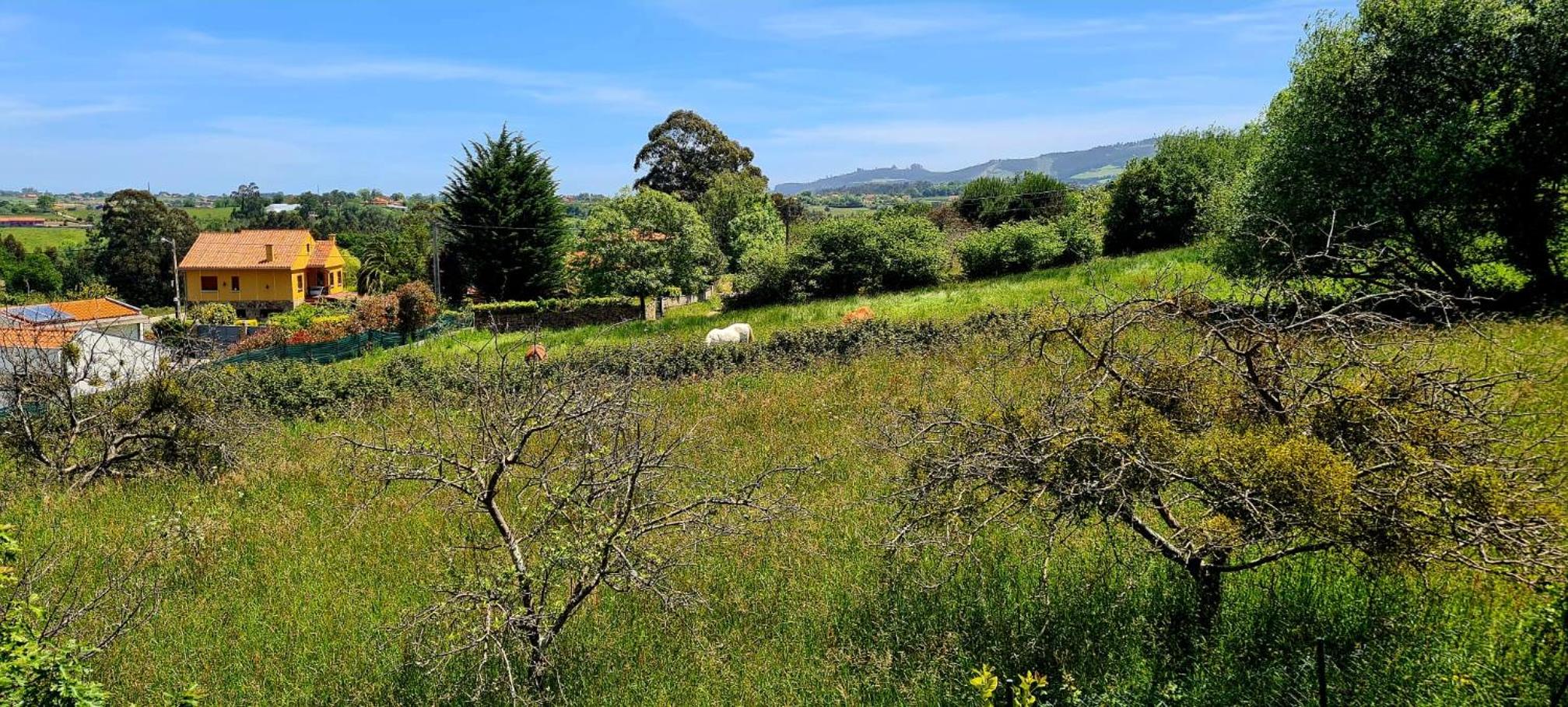 Villa El Tacín De Villaviciosa