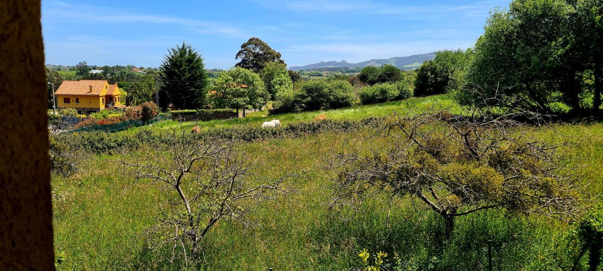 Villa El Tacín De Villaviciosa