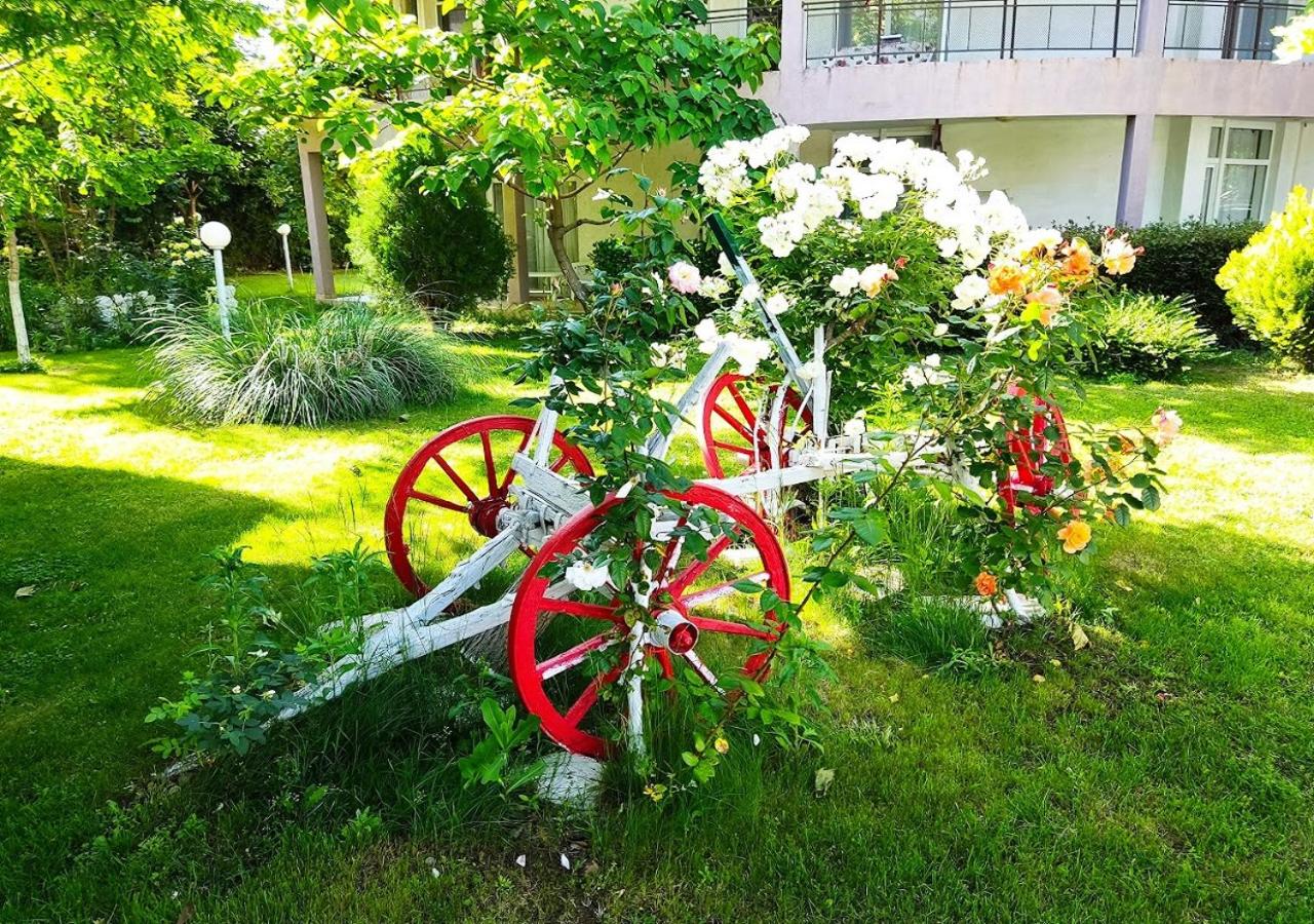 Photo 40