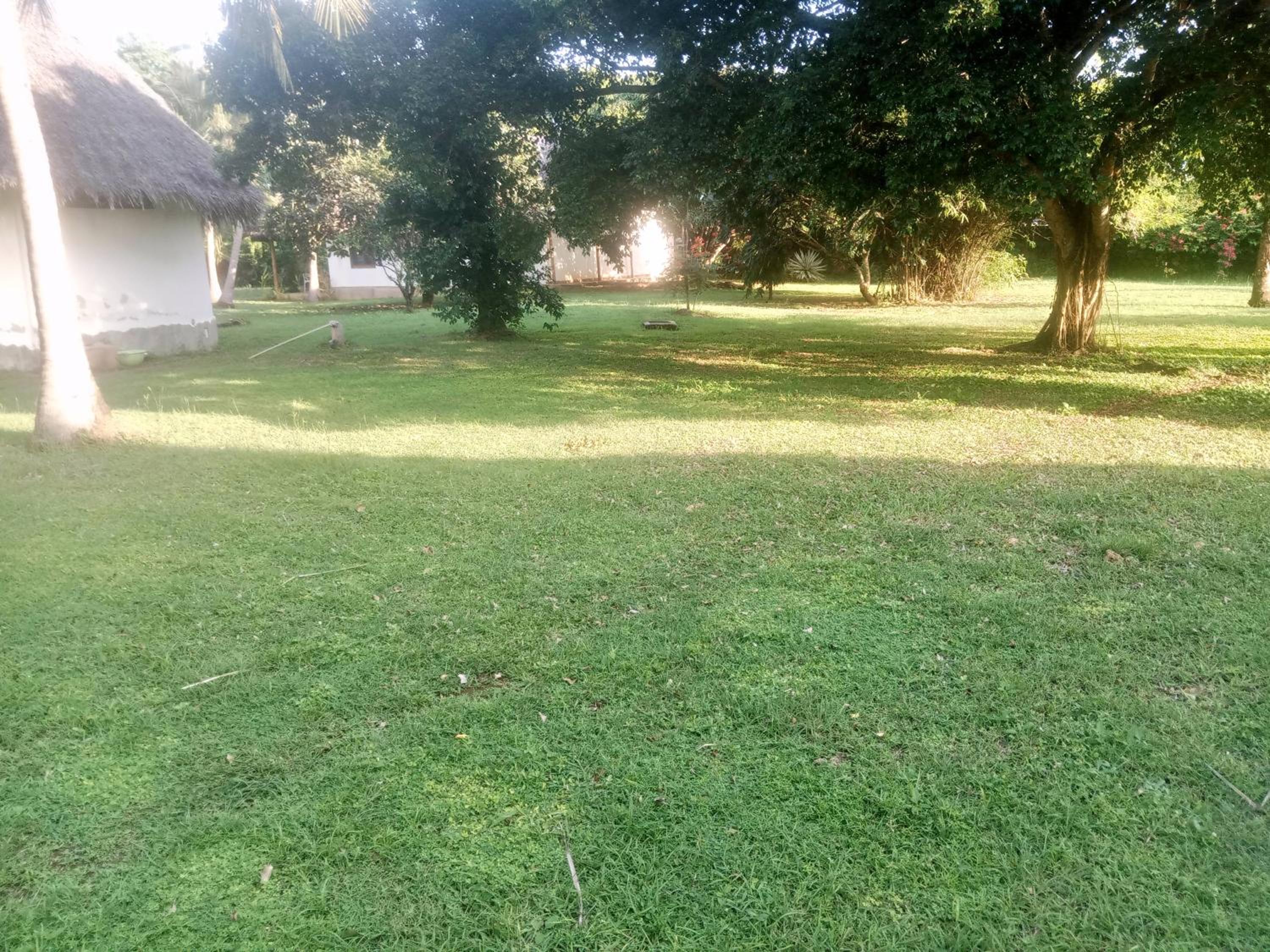 Lyster Ndege cottage
