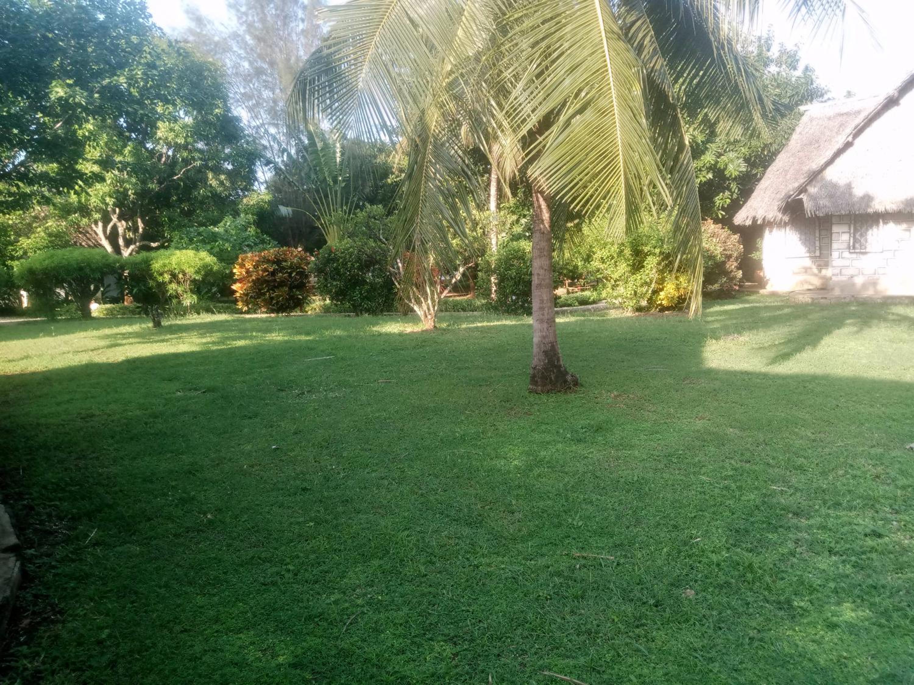 Lyster Ndege cottage