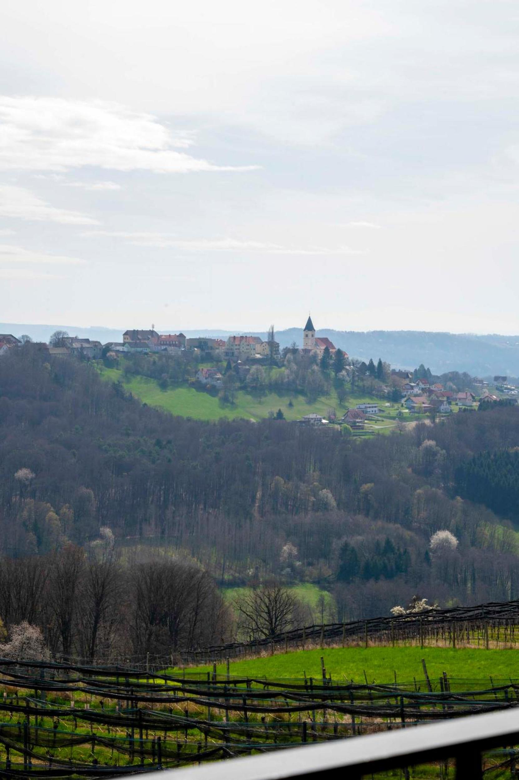 Winzerzimmer Scharl