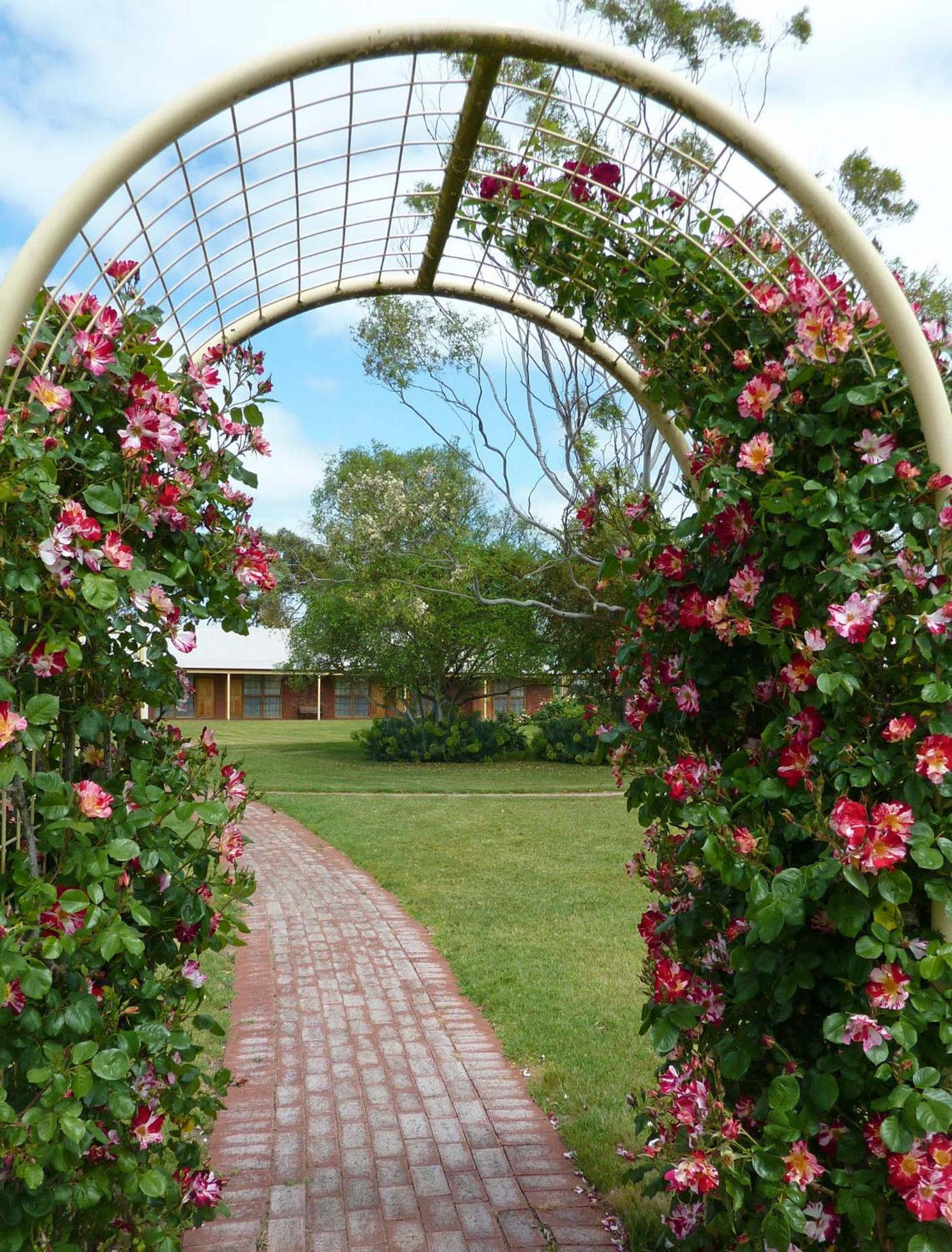Coonawarra Place Motor Inn