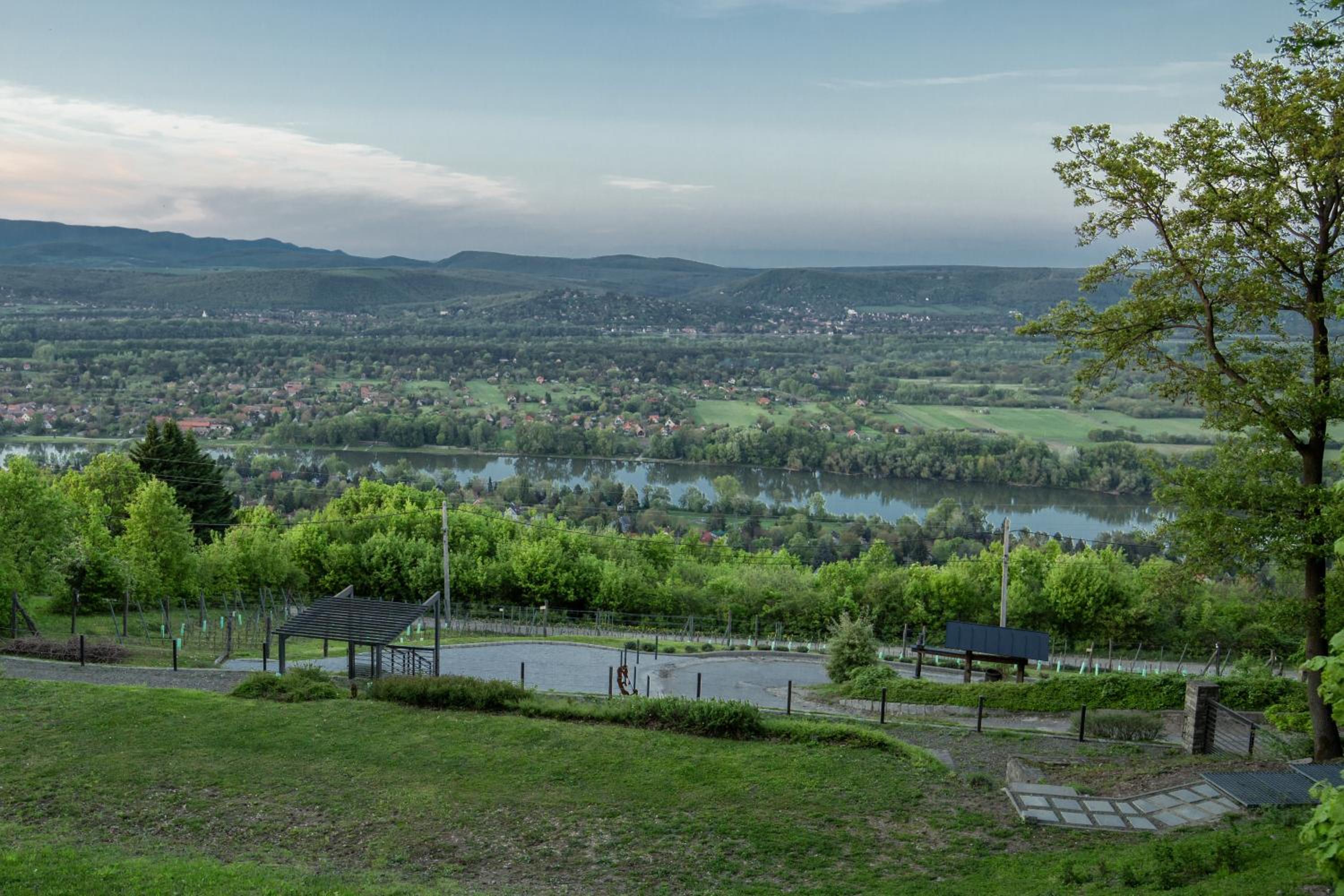 DOG HILL Apartman view 3