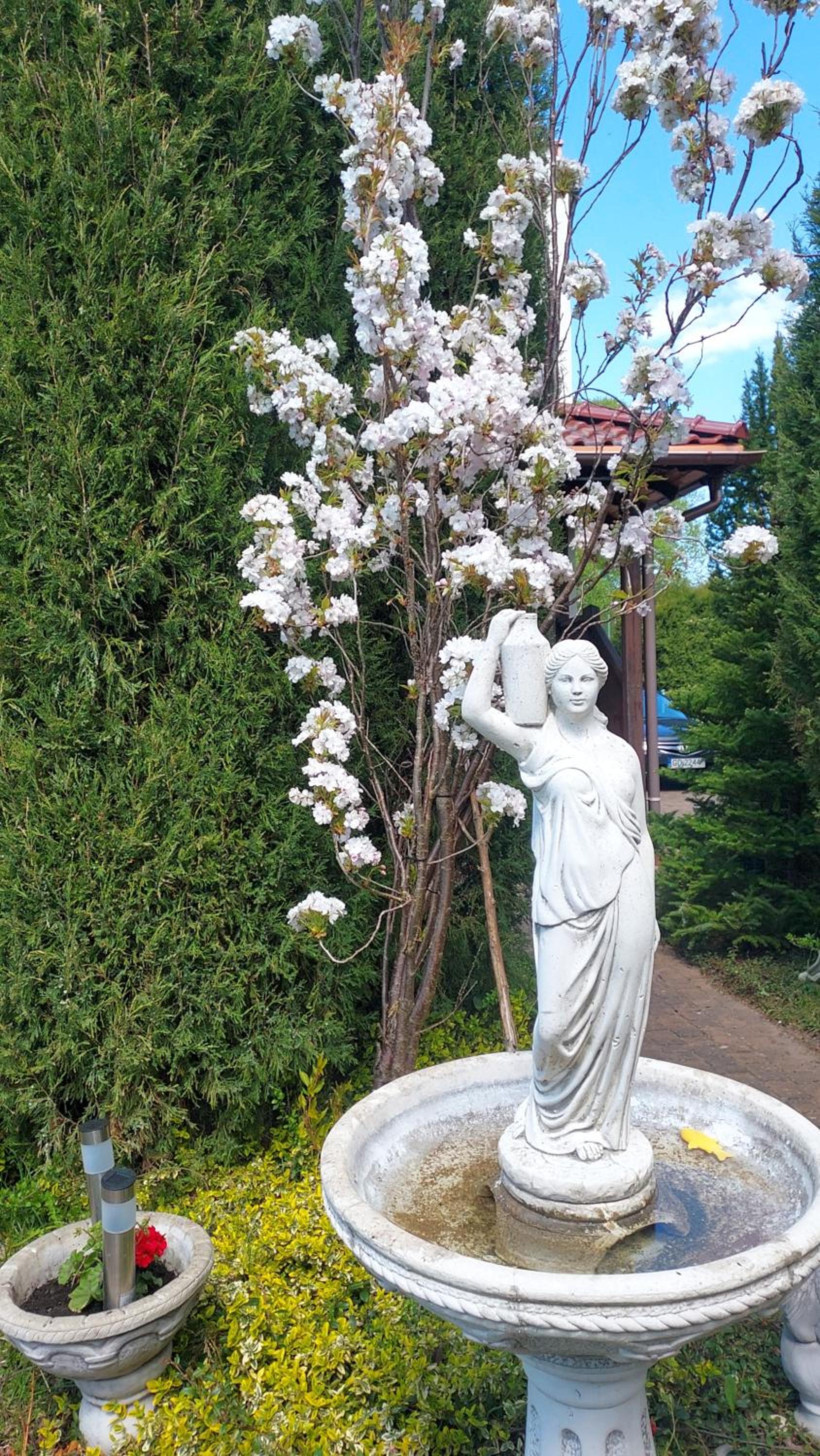 Photo 38