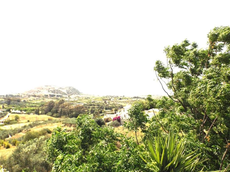 Cucazorra Rural House