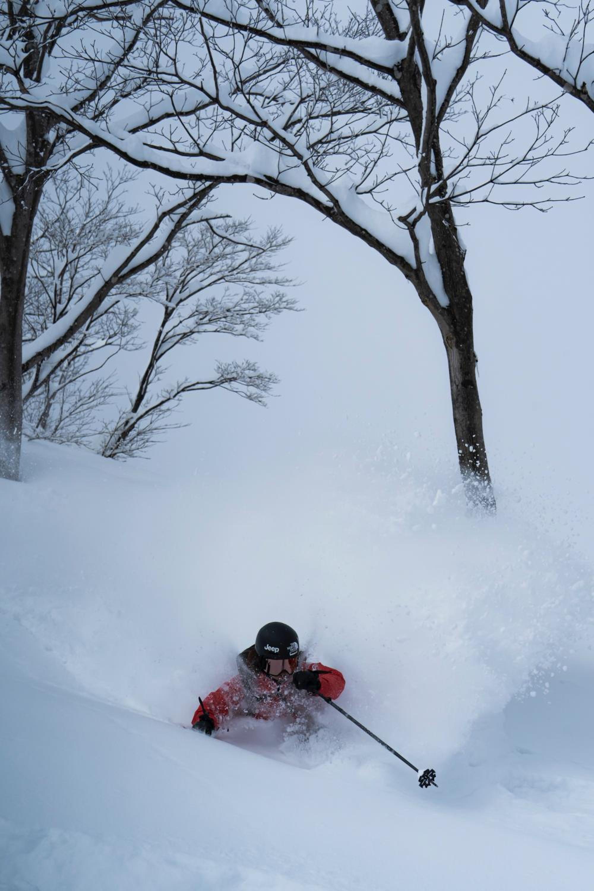 Lotte Arai Resort