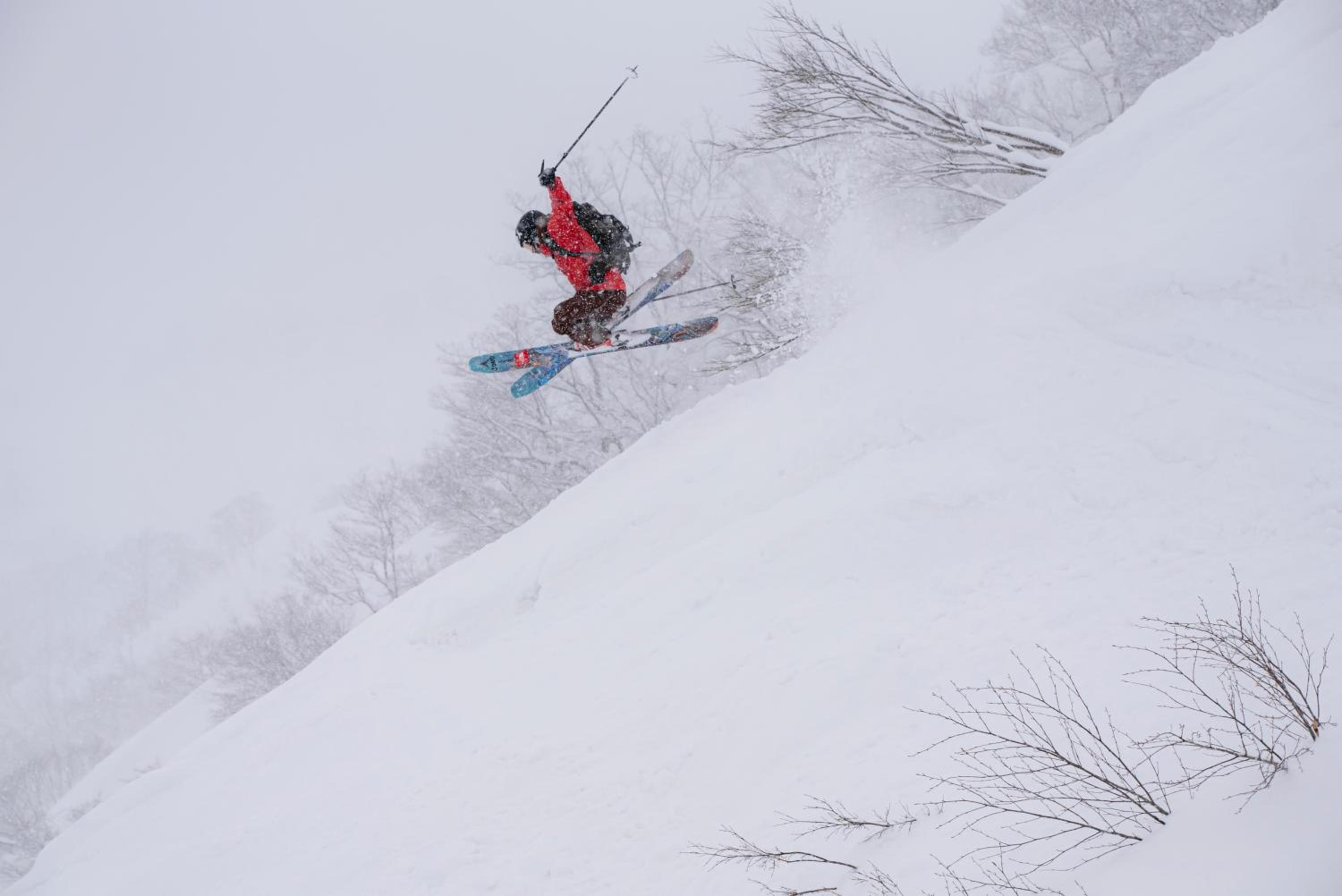 Lotte Arai Resort