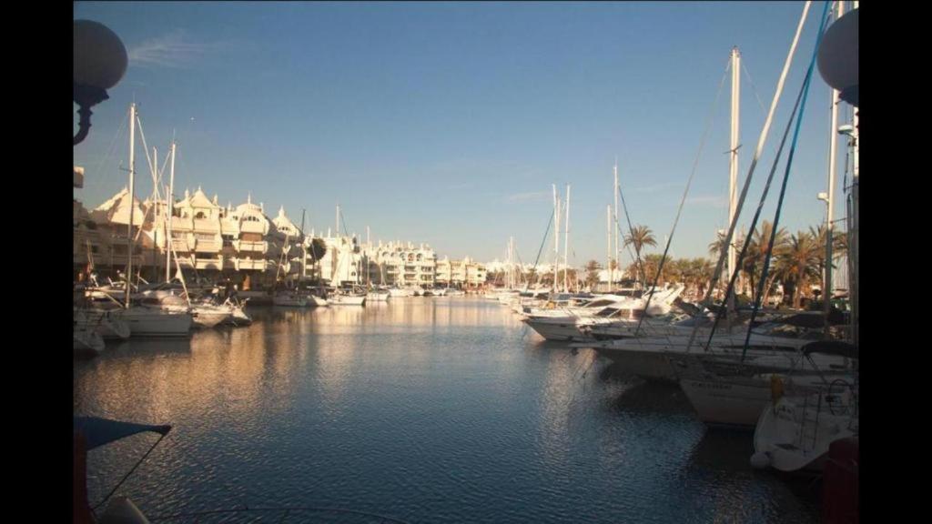 Bonanza Sea Horse Vacations