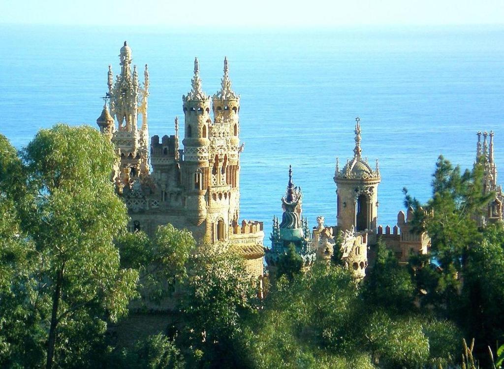 Bonanza Sea Horse Vacations