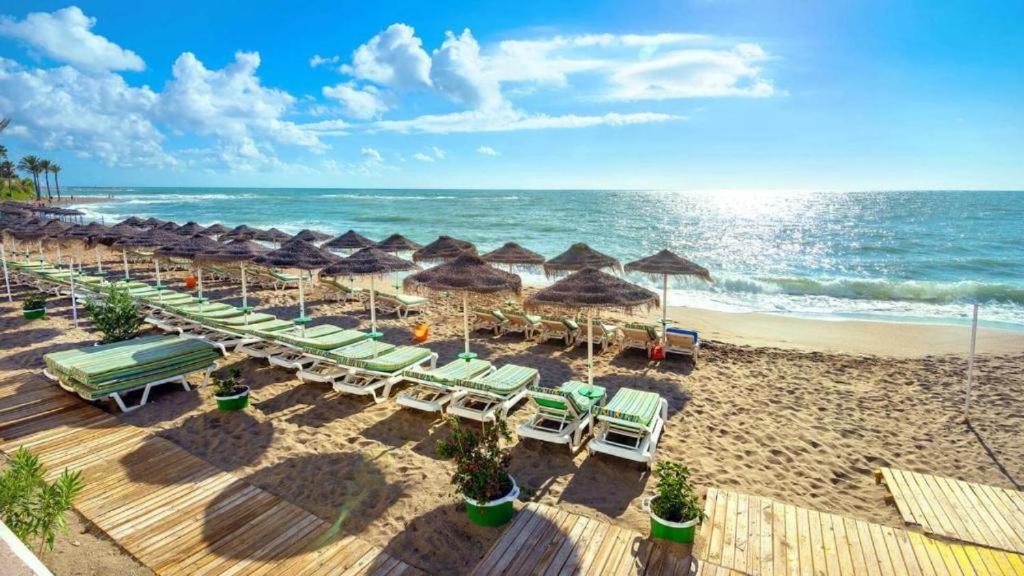 Bonanza Sea Horse Vacations