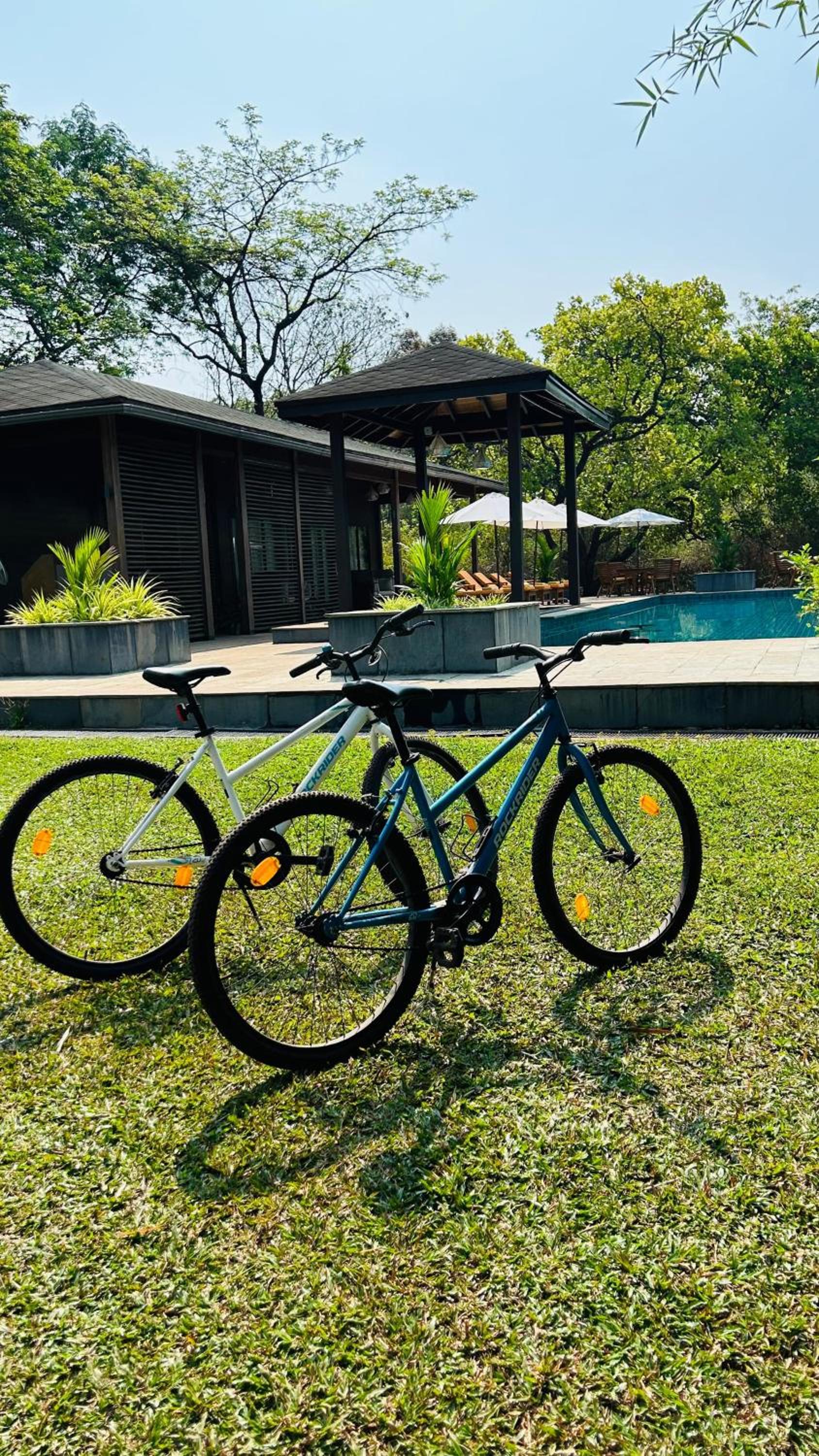 The Postcard Hideaway, Netravali Wildlife Sanctuary, South Goa
