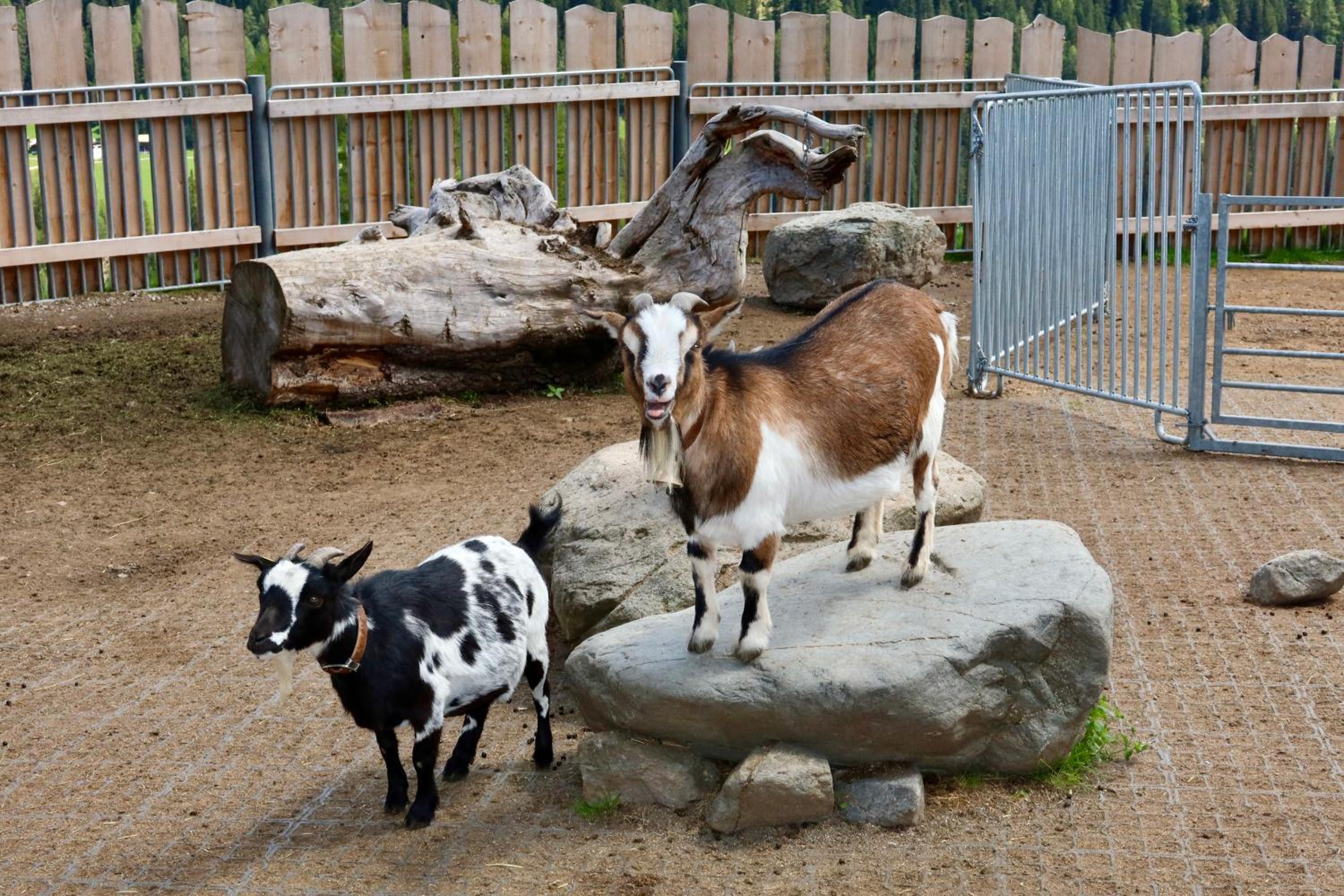 Naturedome Hof Camenisch