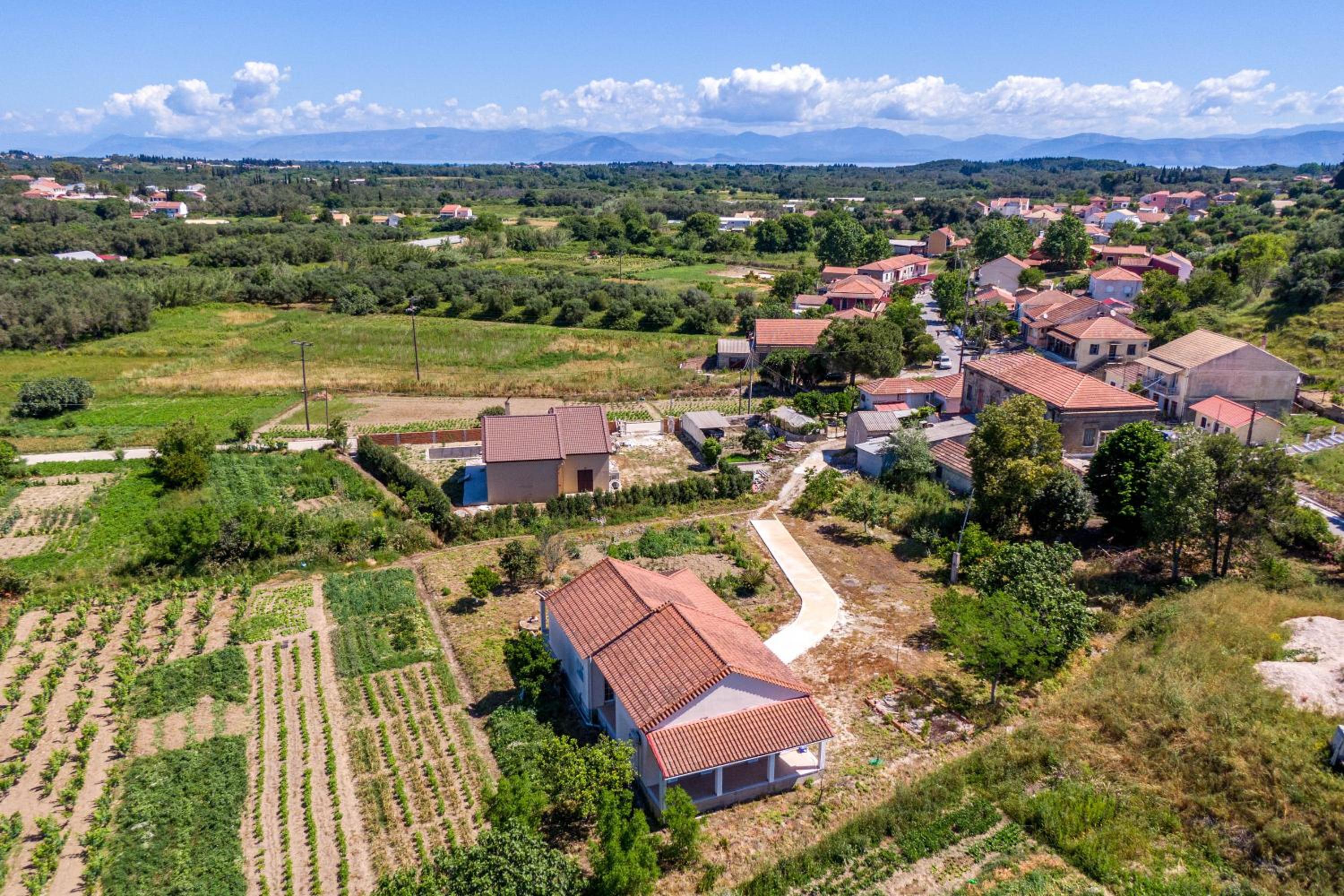 Billo