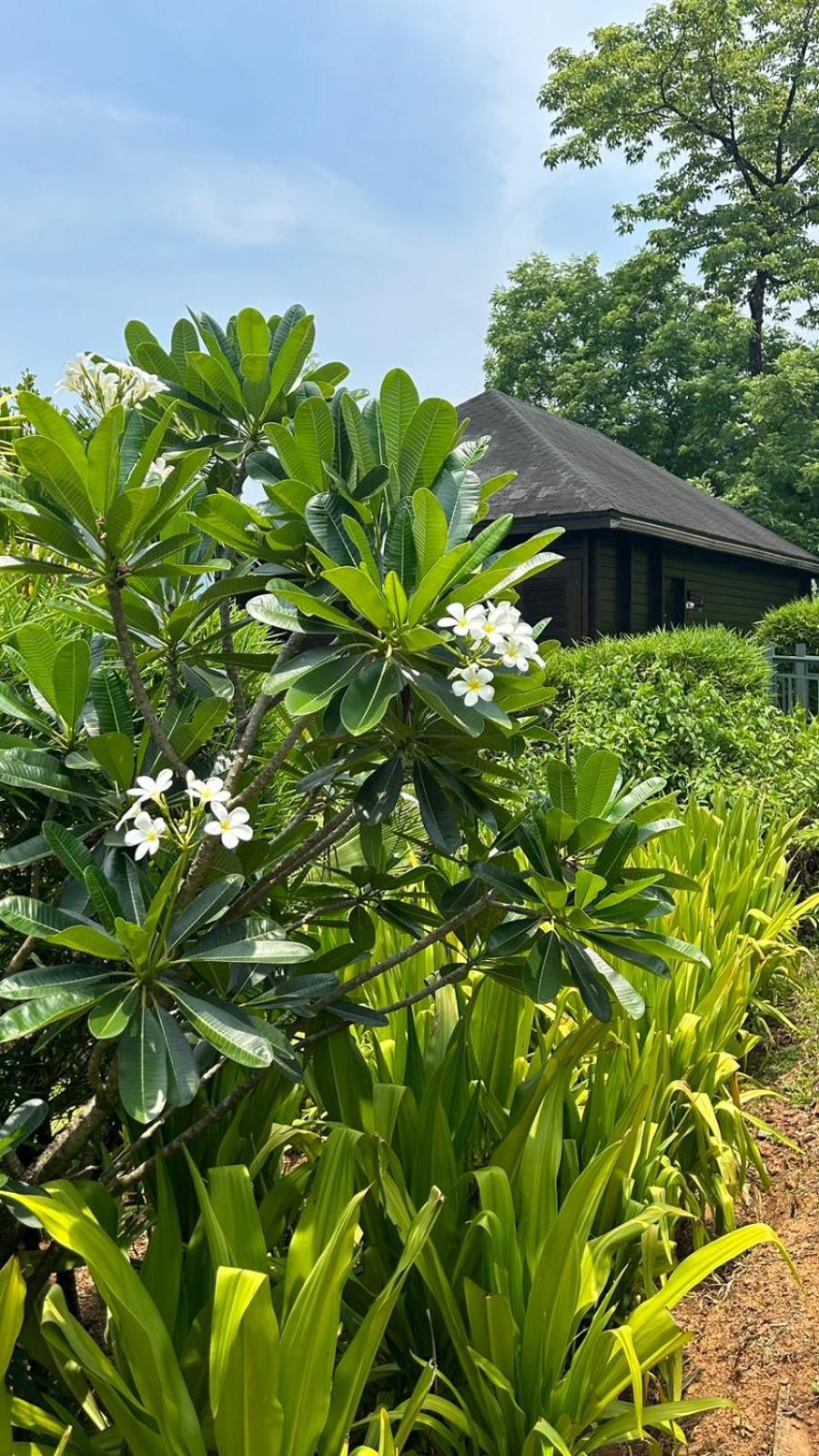 The Postcard Hideaway, Netravali Wildlife Sanctuary, South Goa