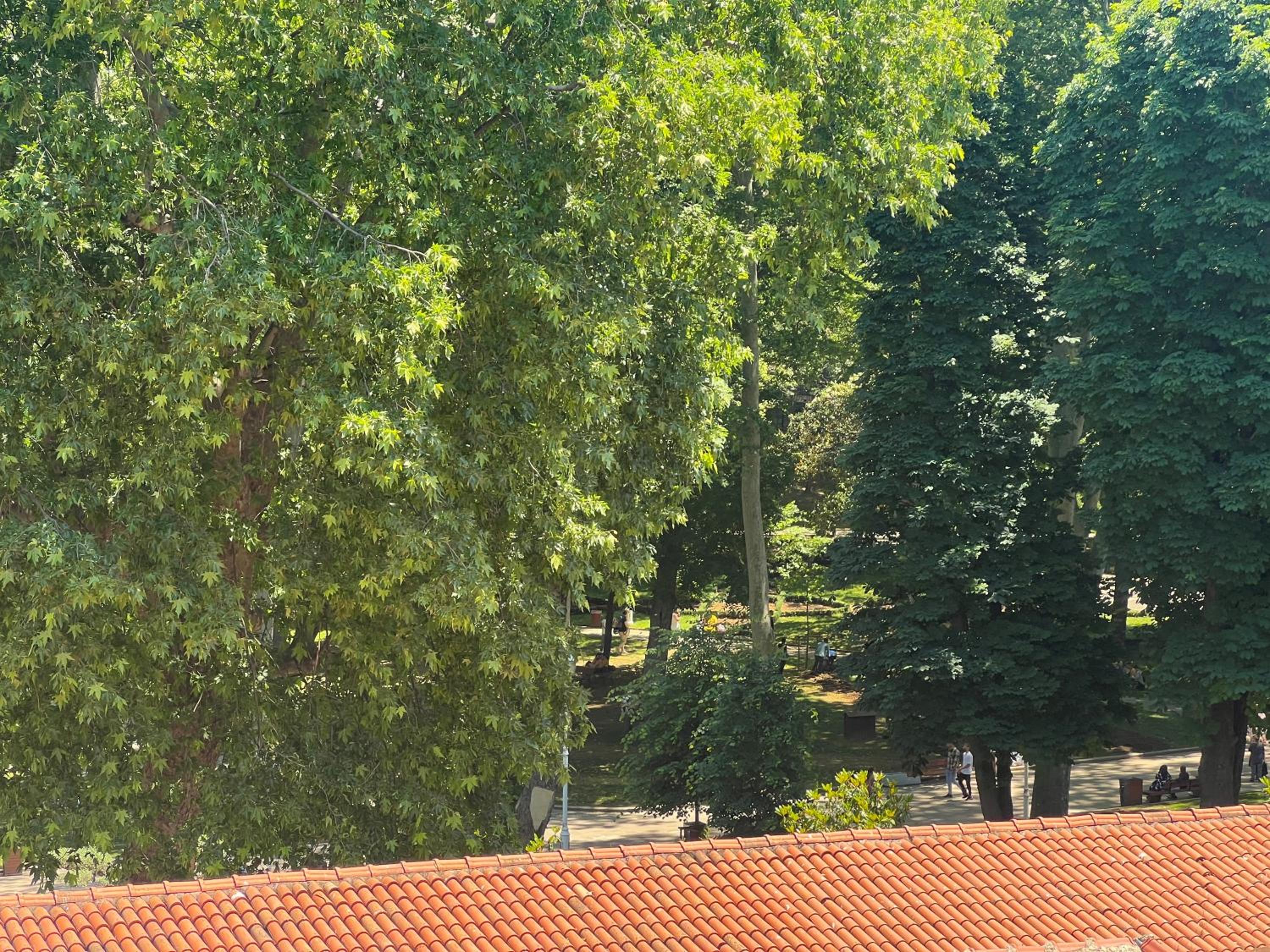 The Constantine Otel - Image 15