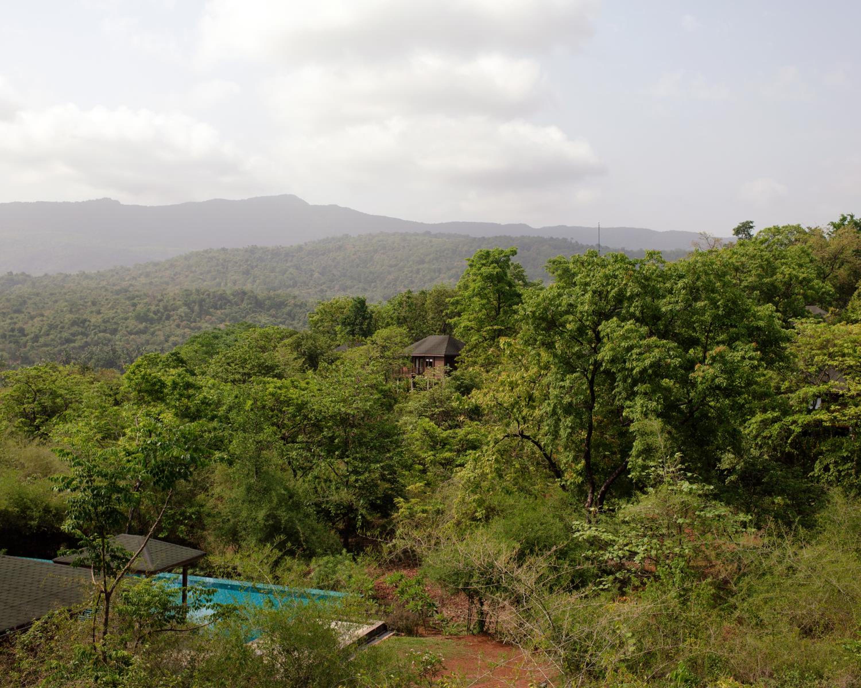 The Postcard Hideaway, Netravali Wildlife Sanctuary, South Goa