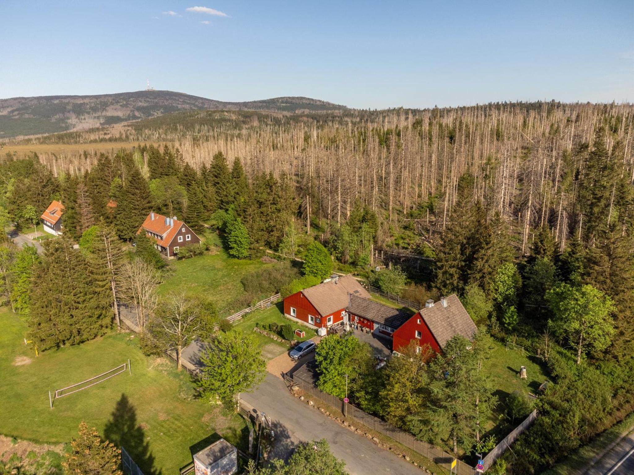 HIRSCH Hänsel Ferienhaus Garten mit Bergblick - Grill -Wald