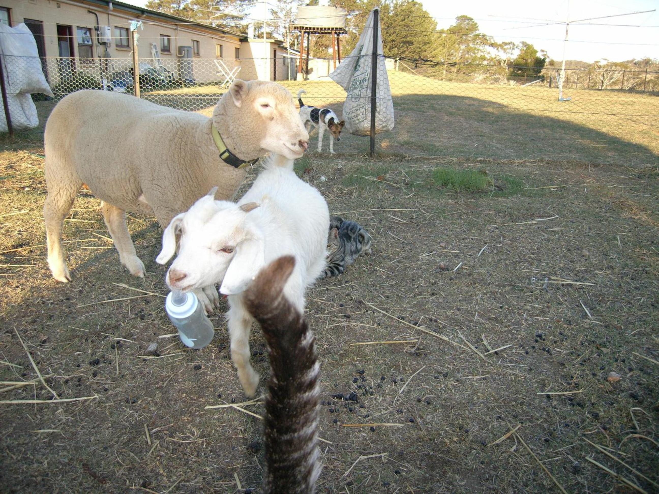Photo 34