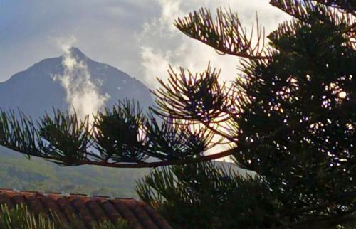 Azores Youth Hostels - Pico
