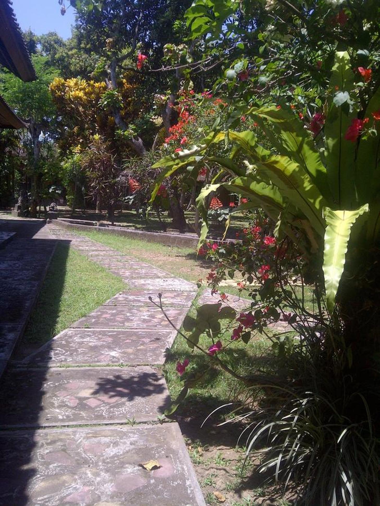 Photo 18