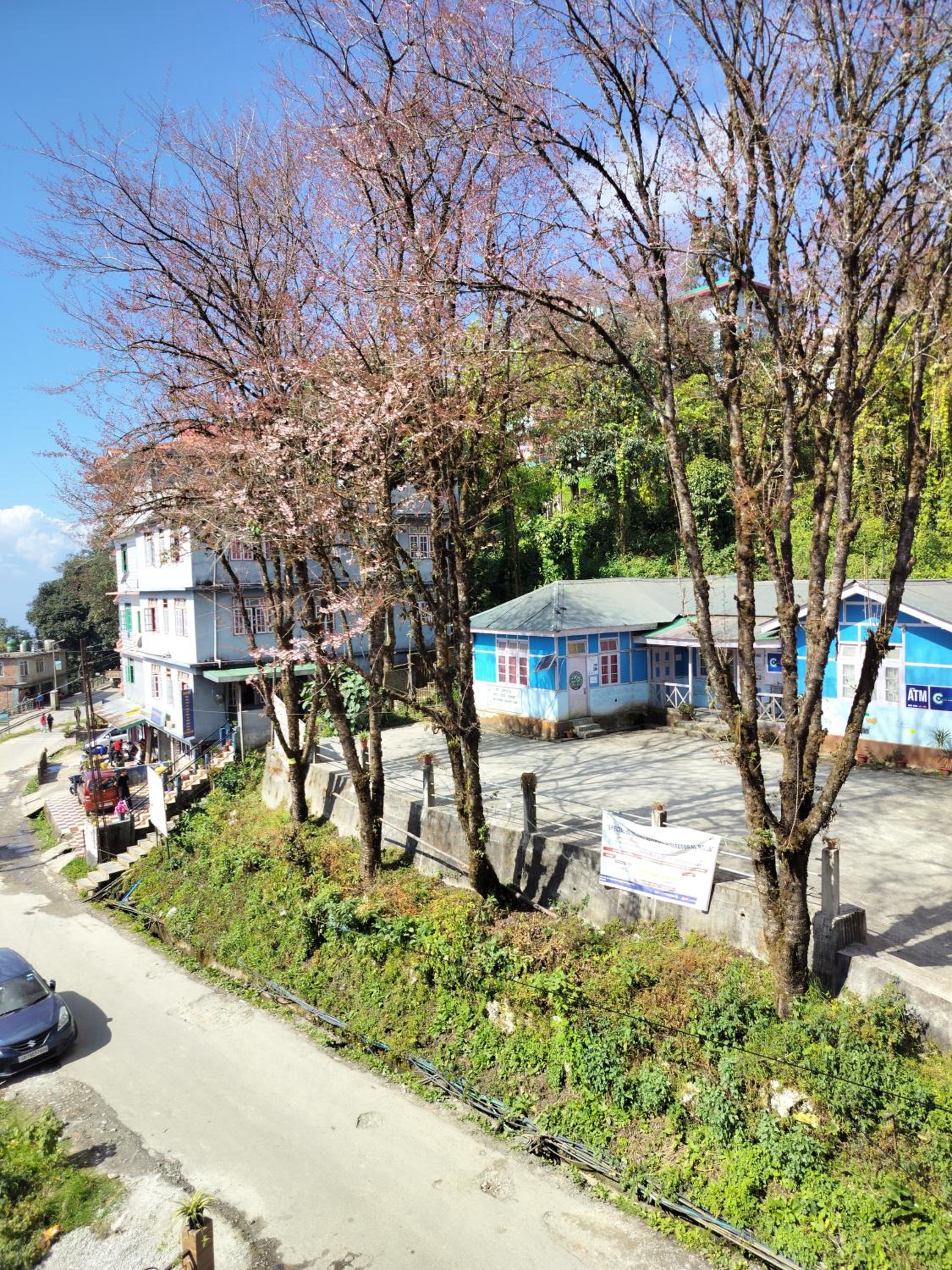 BLUE DUKE HOMESTAY