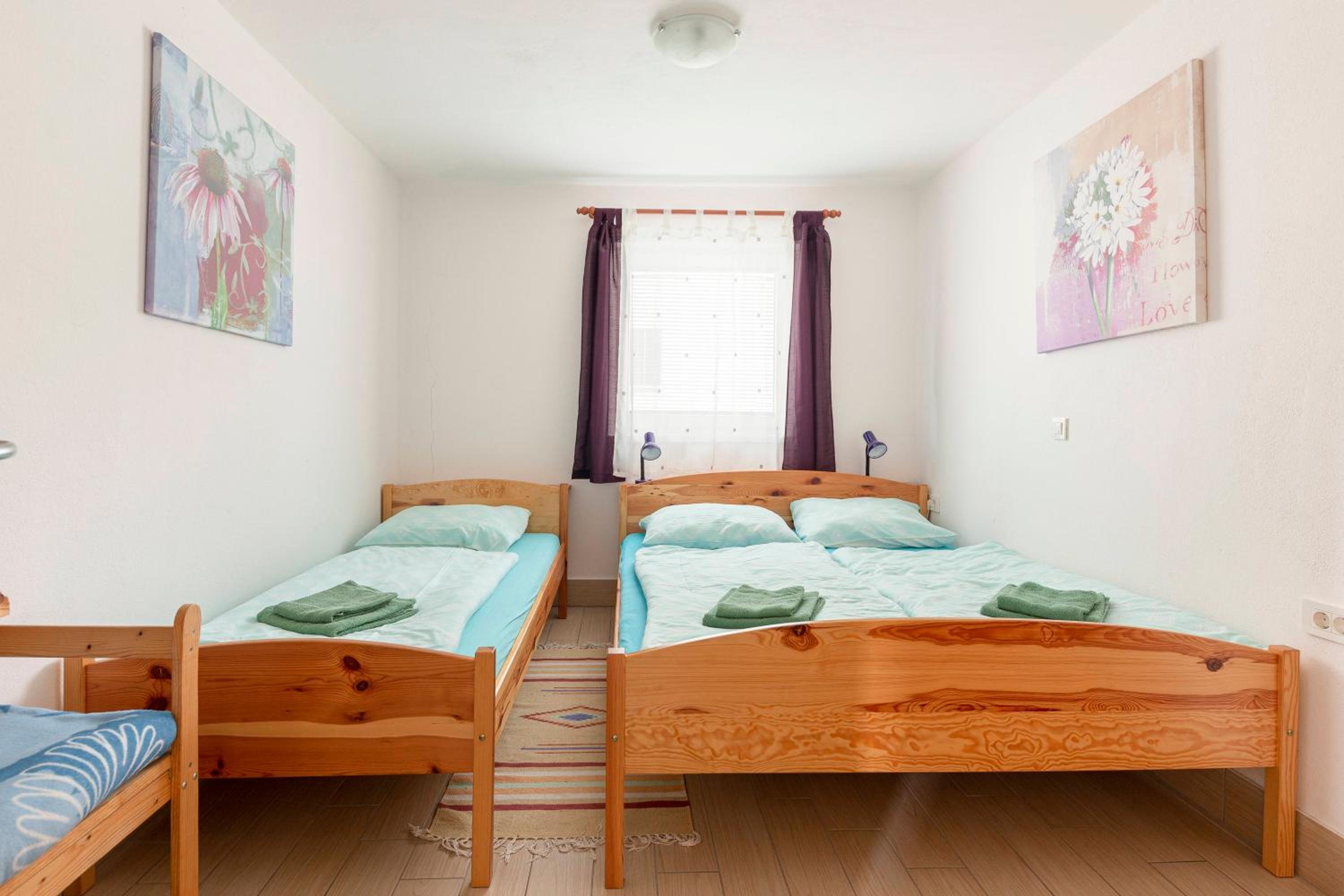 Apartments Bor view 5