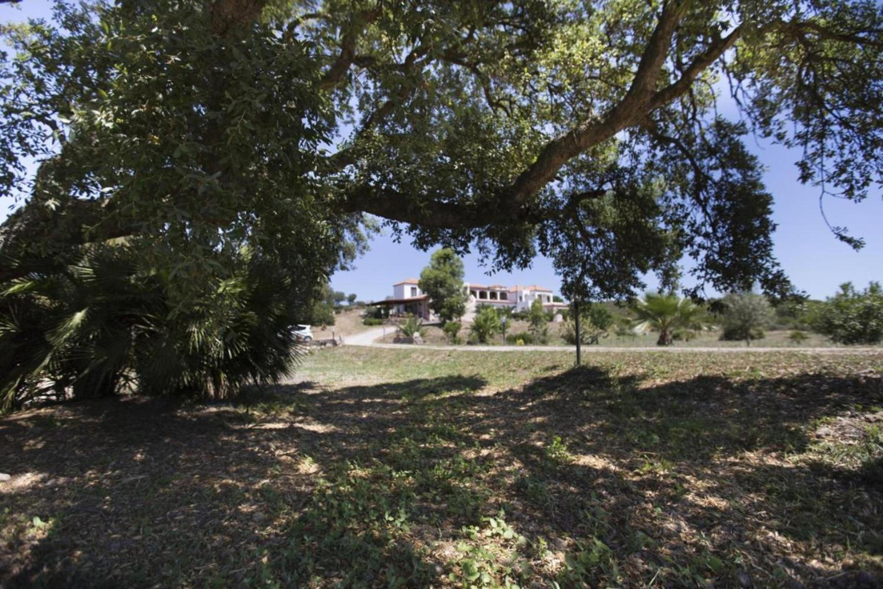 Appartamento Vista Collina view 3