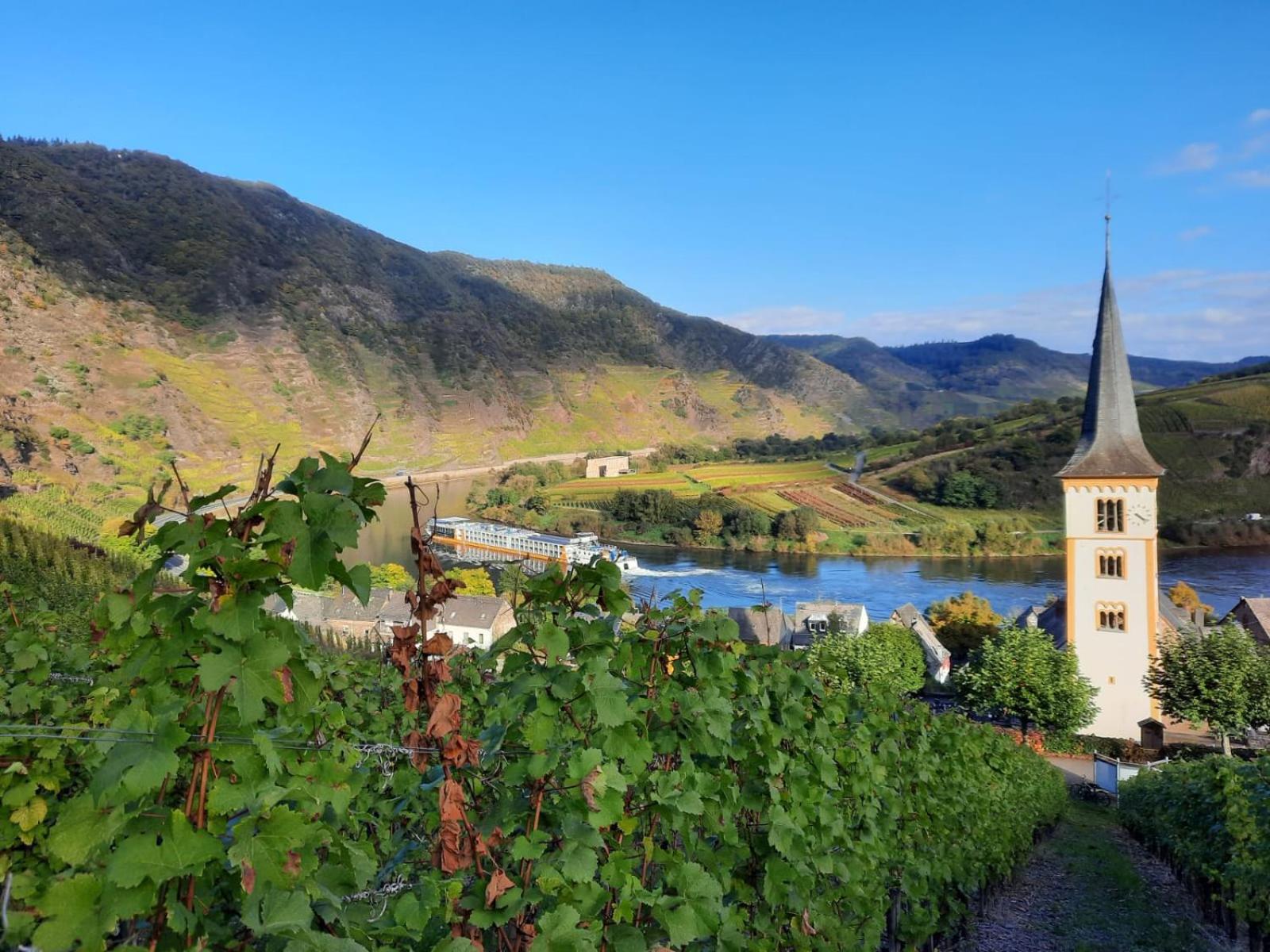 Winzerhaus Schenk