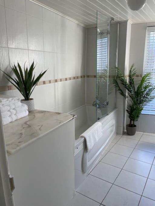 Charming House on Taylors Hill with Free Parking view 2