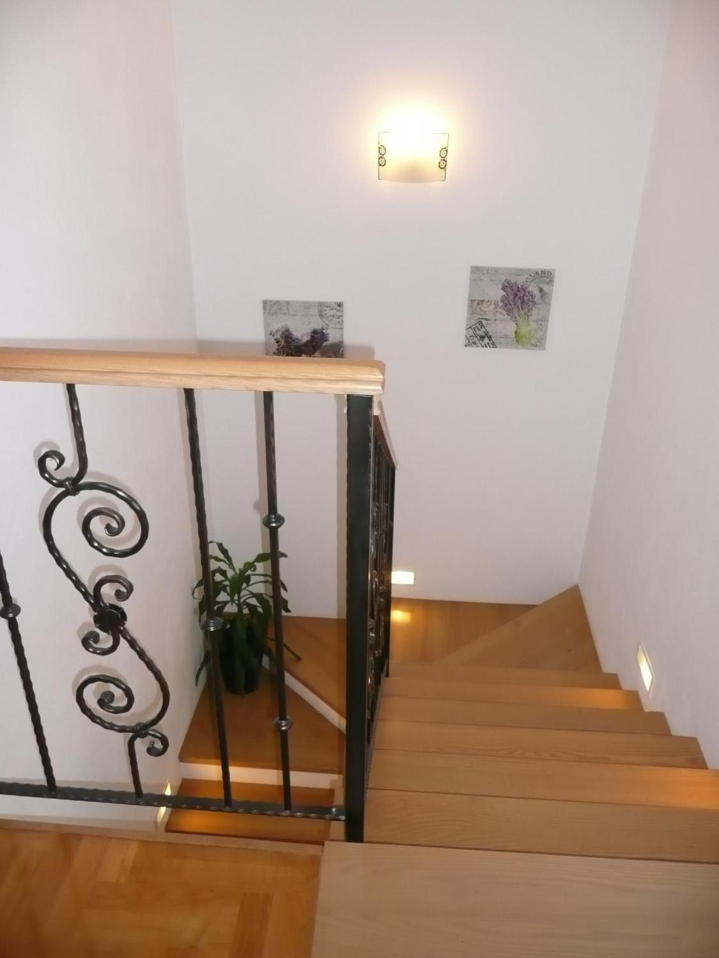 House Dolly view 3