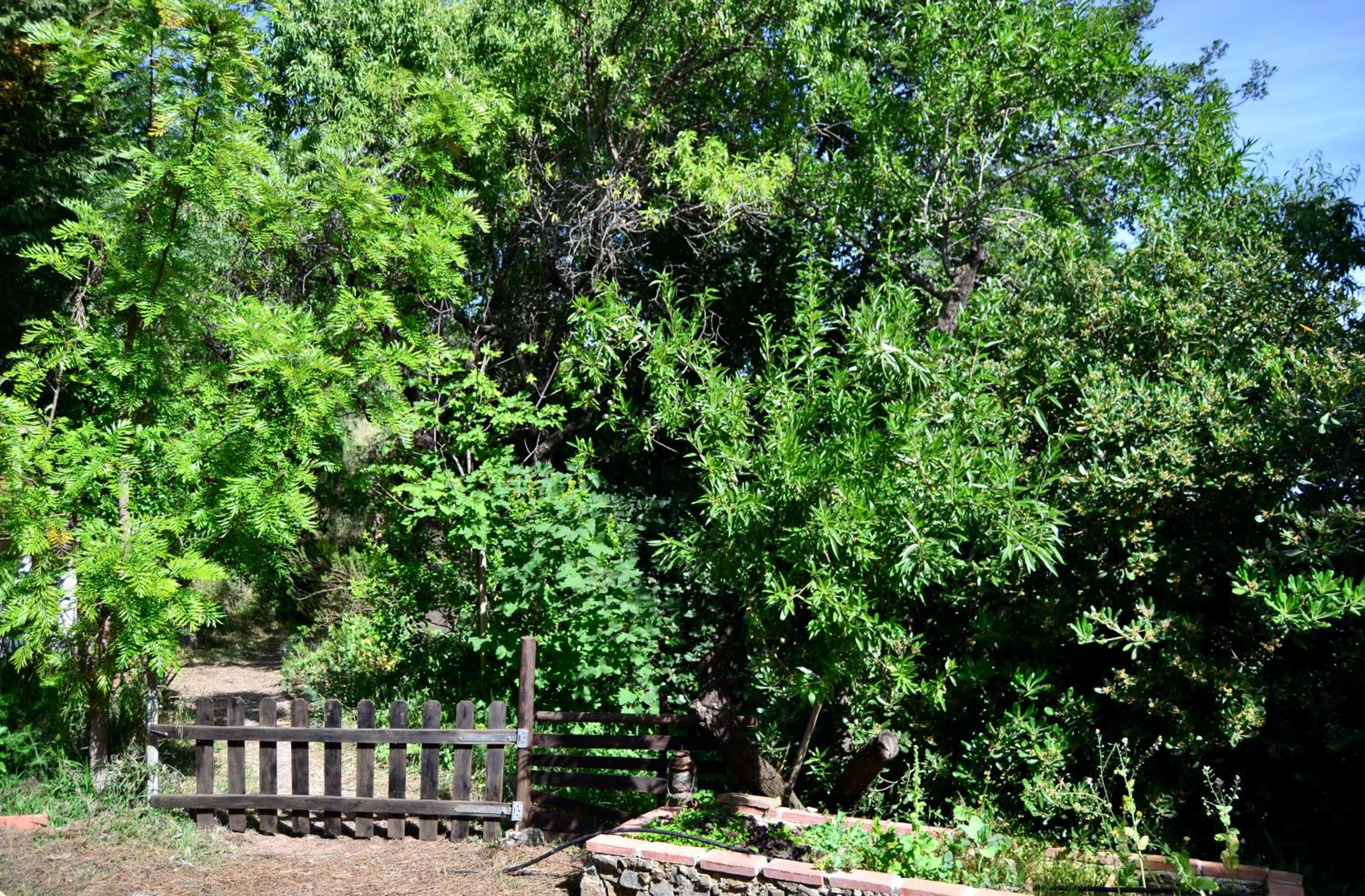Casa Jardín Natural Sedella