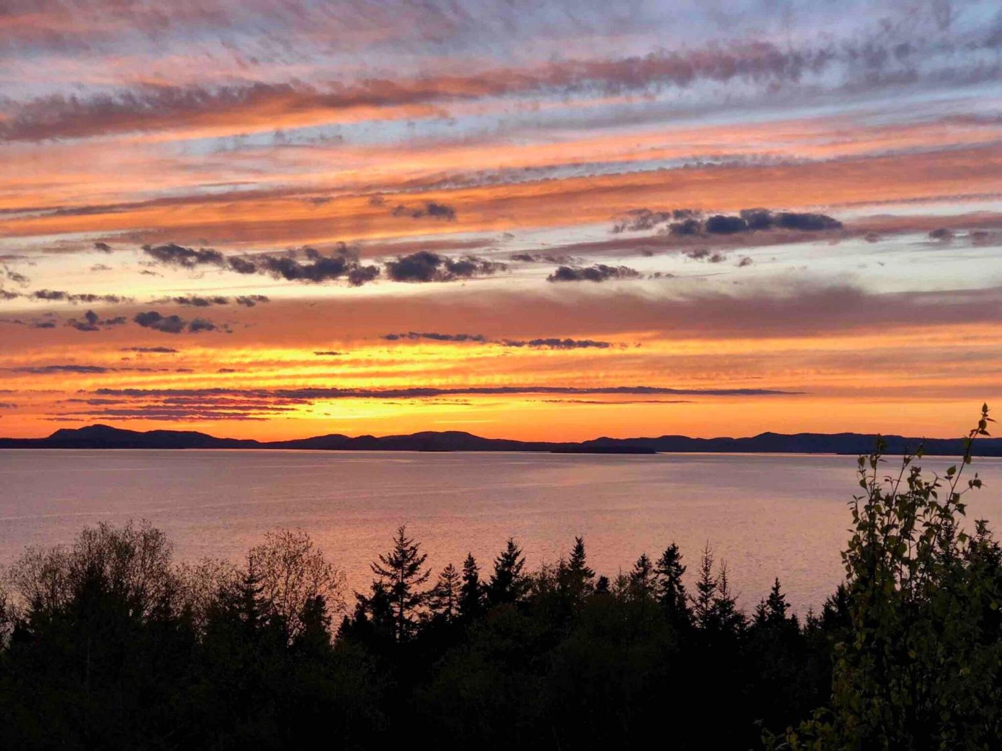 The Carriage House - Tranquility With A View