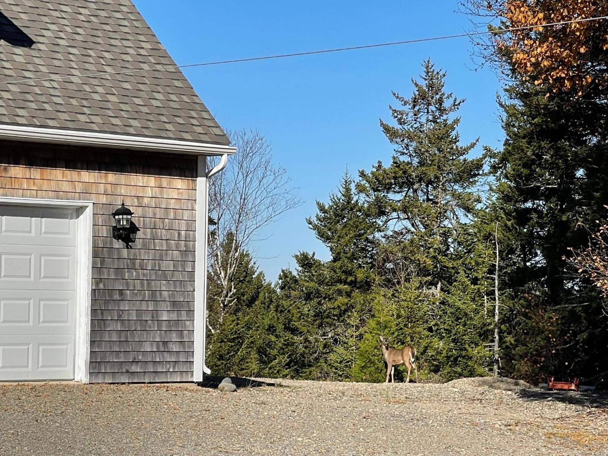 The Carriage House - Tranquility With A View