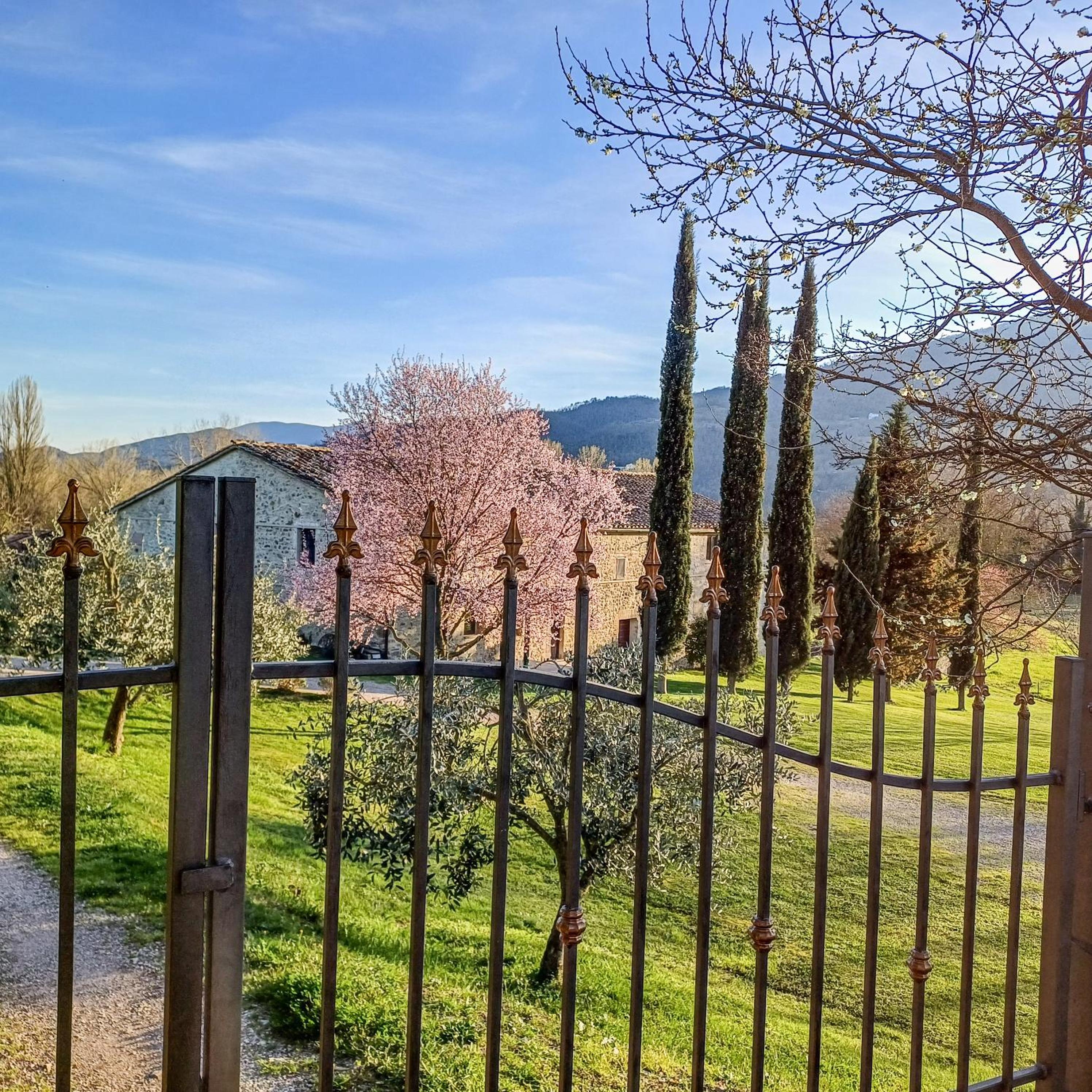 Villa di John