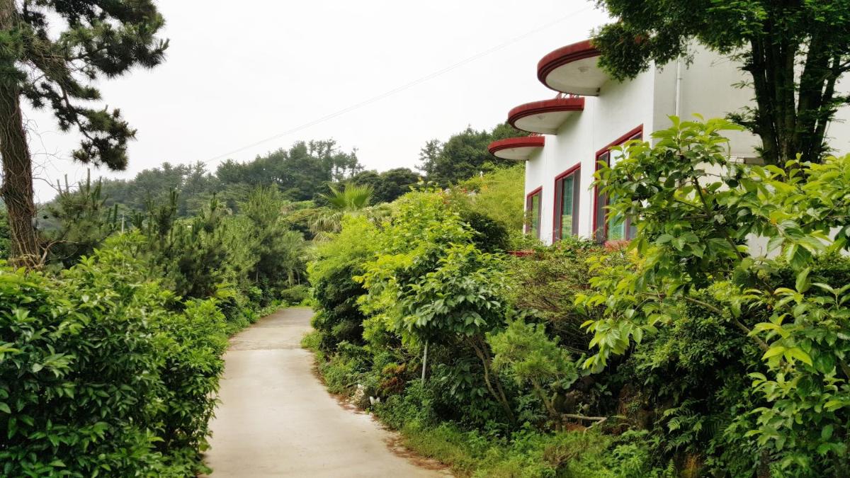 Dreaming Forest Pension Seogwipo, Seogwipo - 14