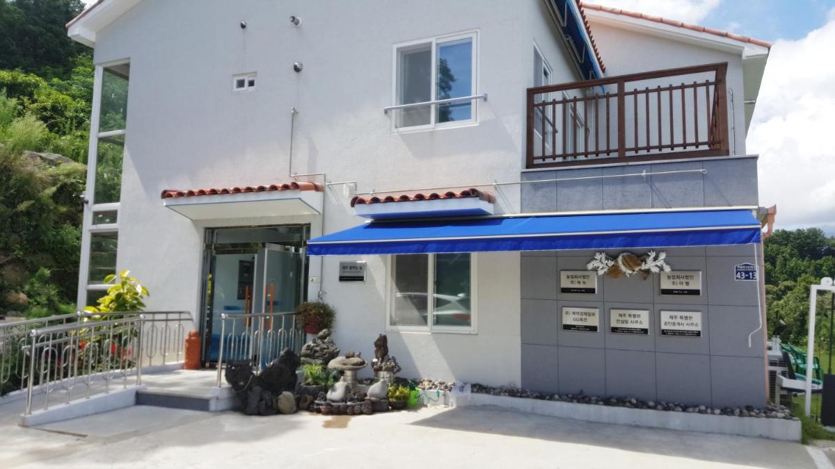 Dreaming Forest Pension Seogwipo