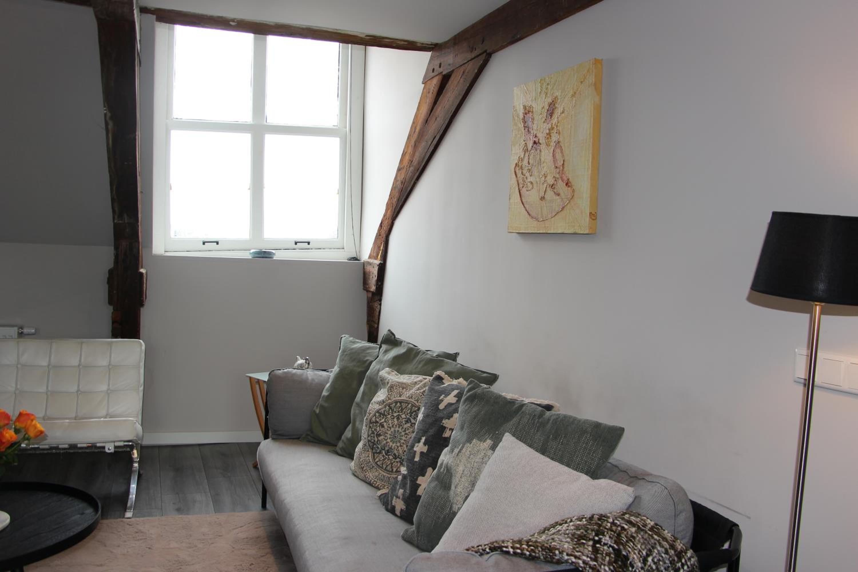Huize de Lekpoort - The Cloister Wall - Historic Apartment in Vianen Center view 4