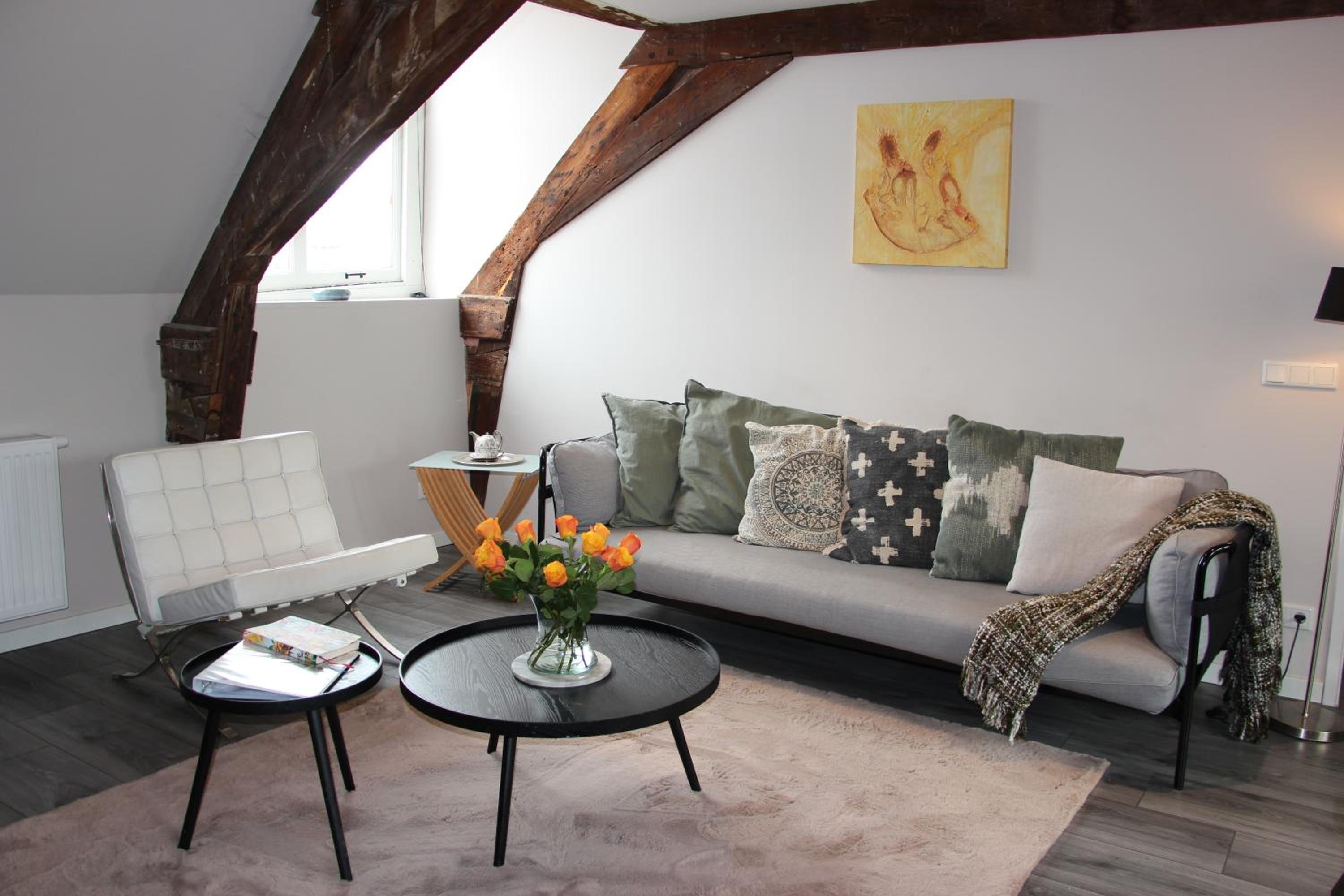 Huize de Lekpoort - The Cloister Wall - Historic Apartment in Vianen Center view 3