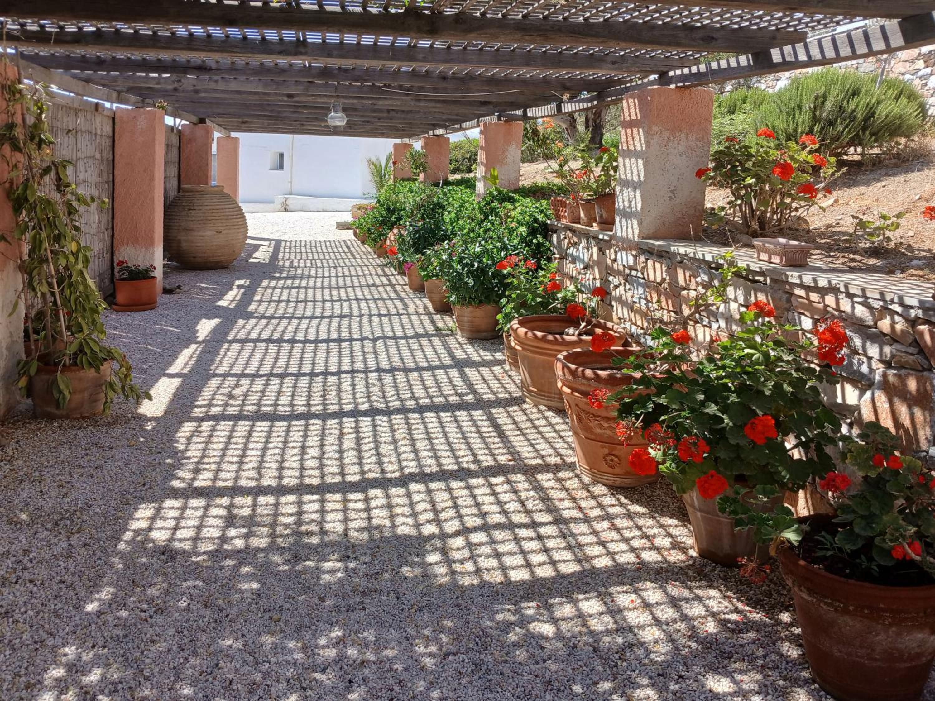 Fully Catered Vila in Cycladic in Posidonia, Greece