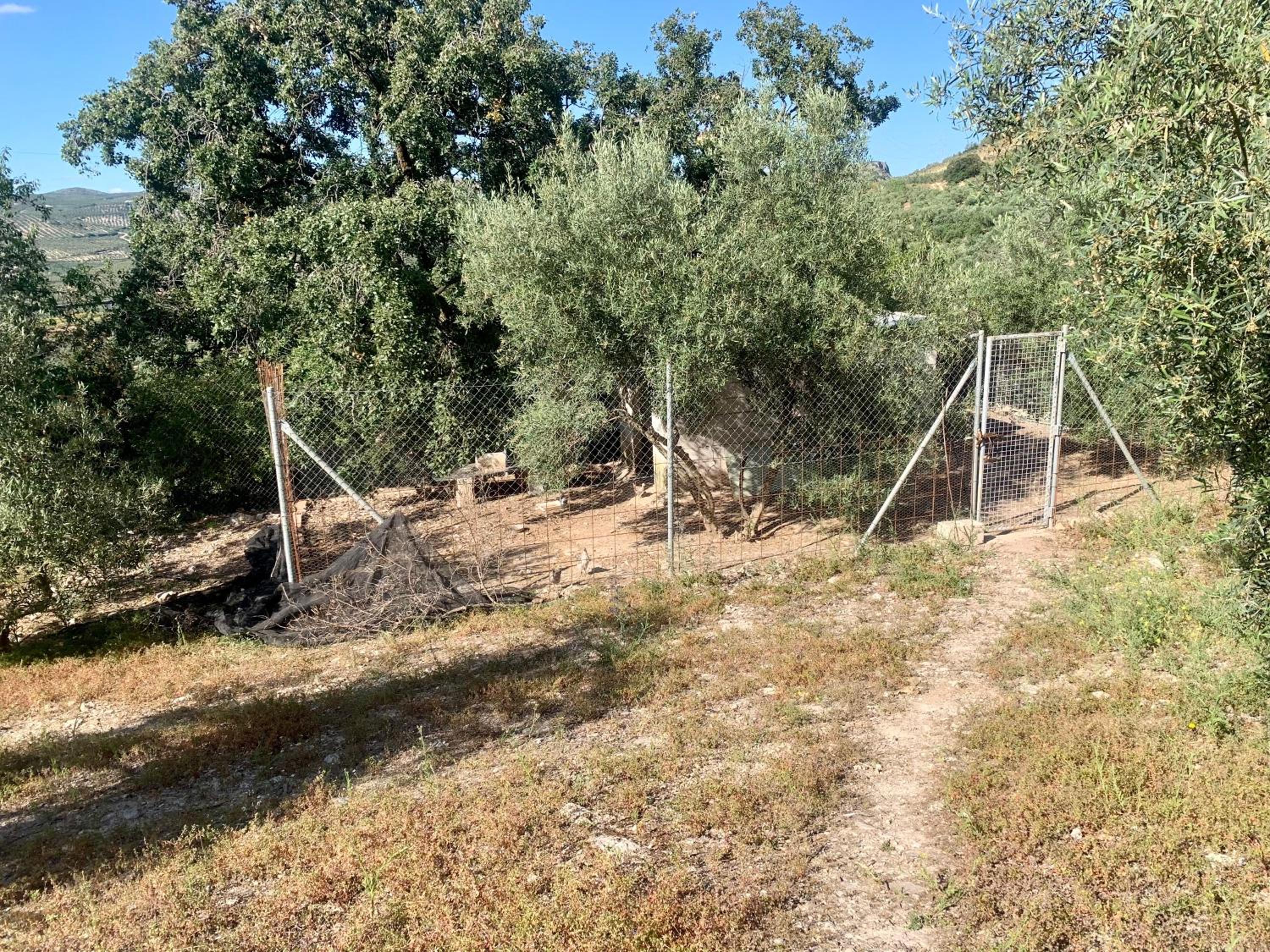 Casa Rural La Ladera
