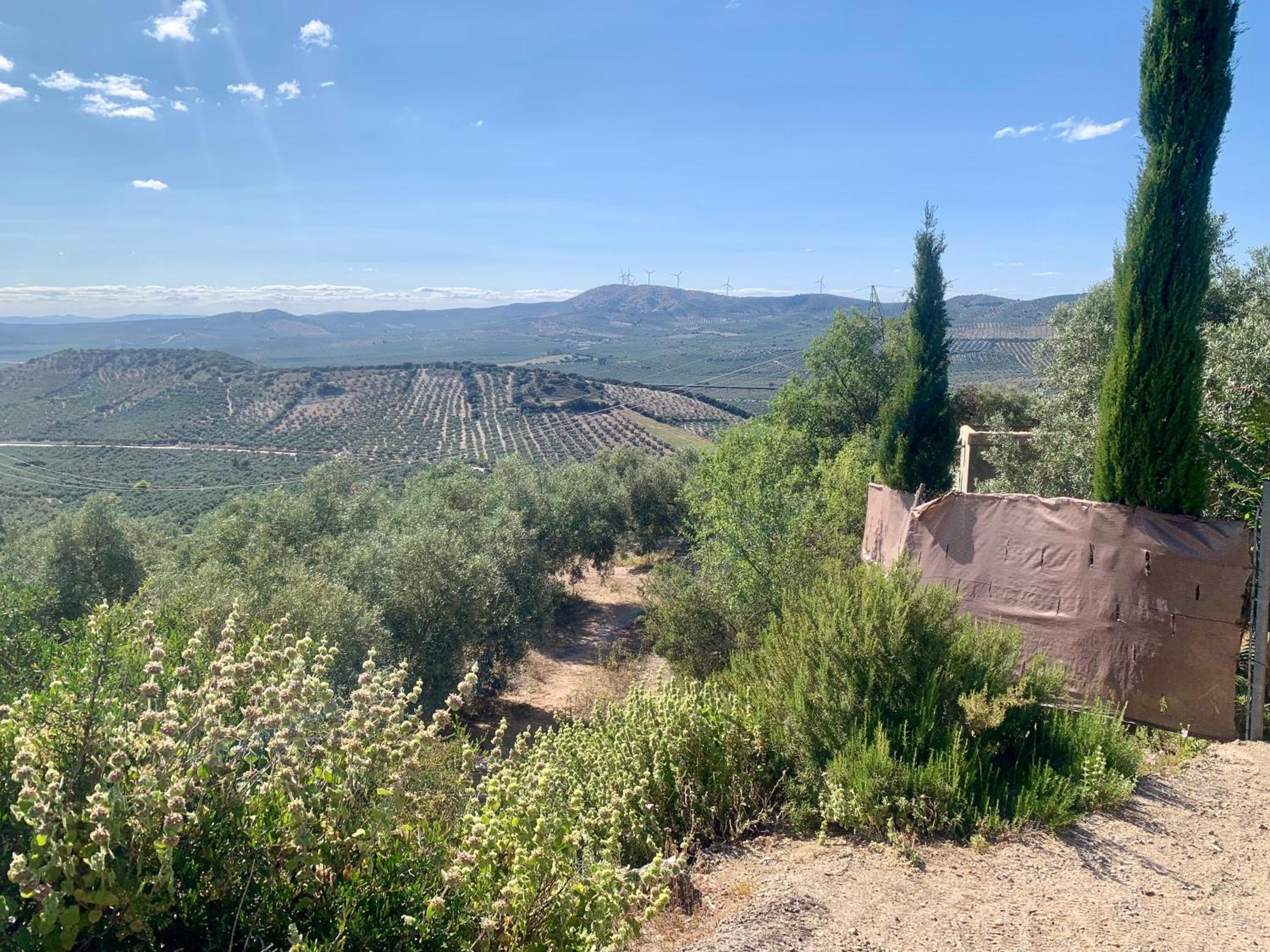 Casa Rural La Ladera
