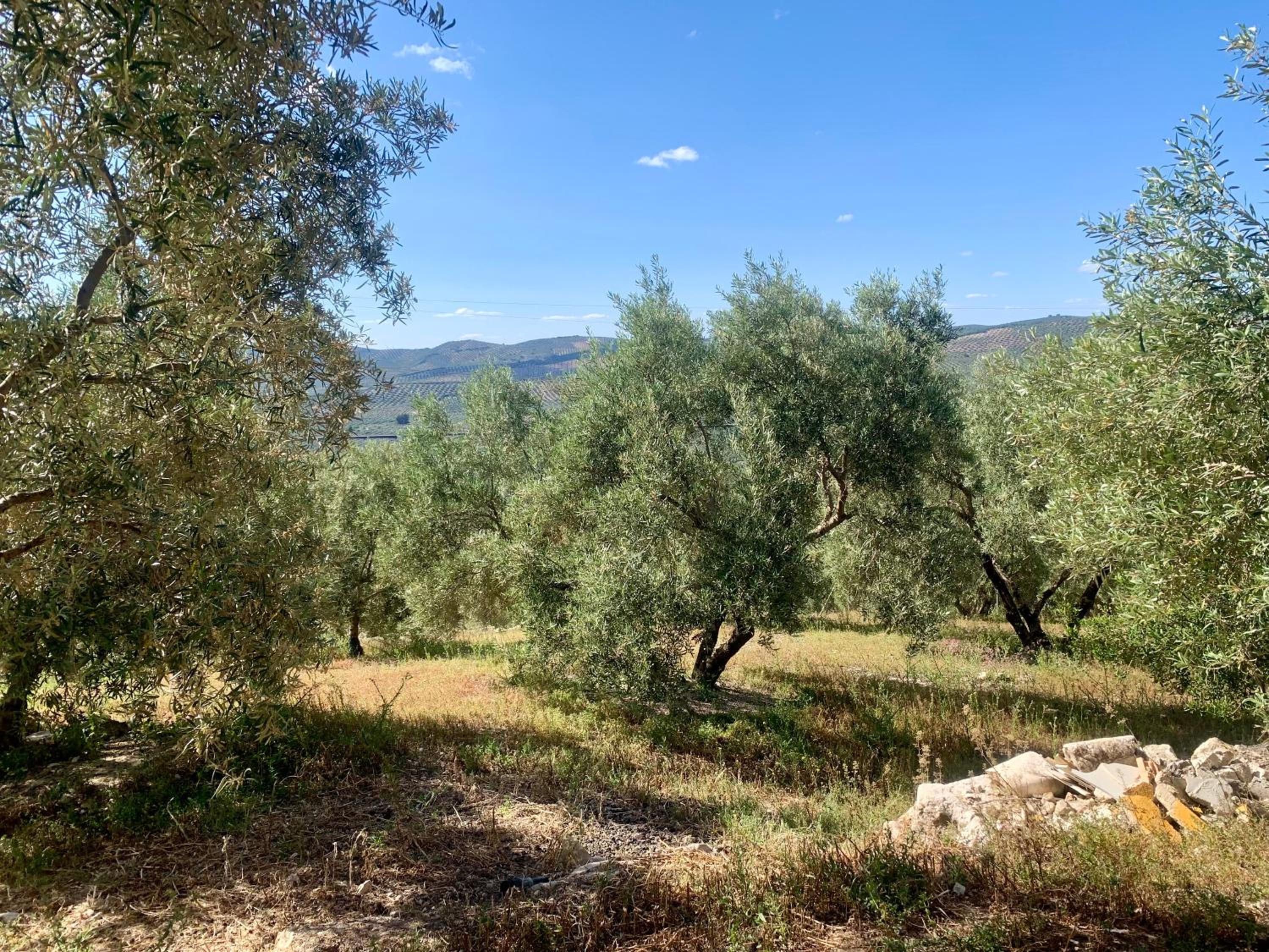 Casa Rural La Ladera